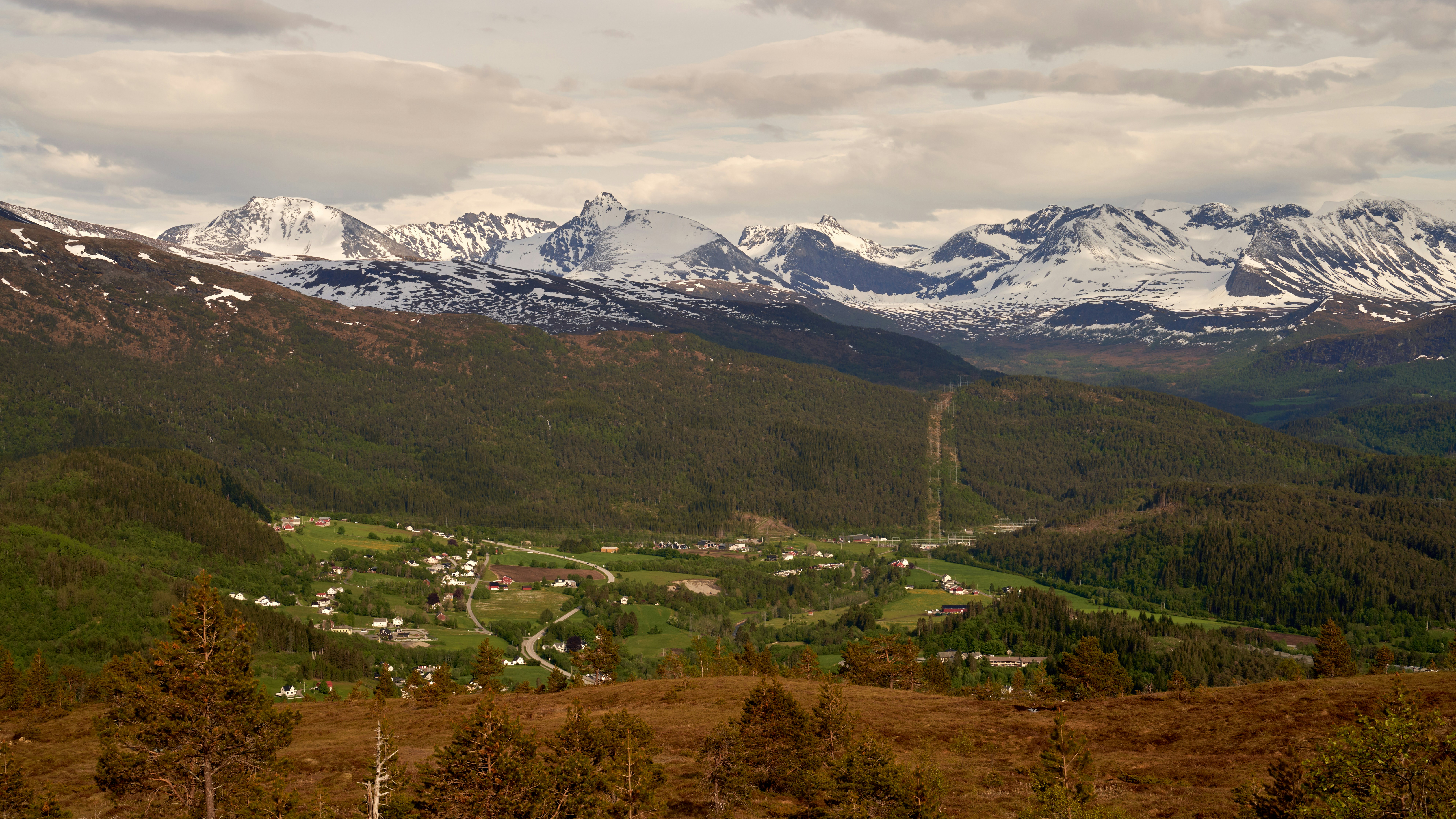 Photo by davotibarna