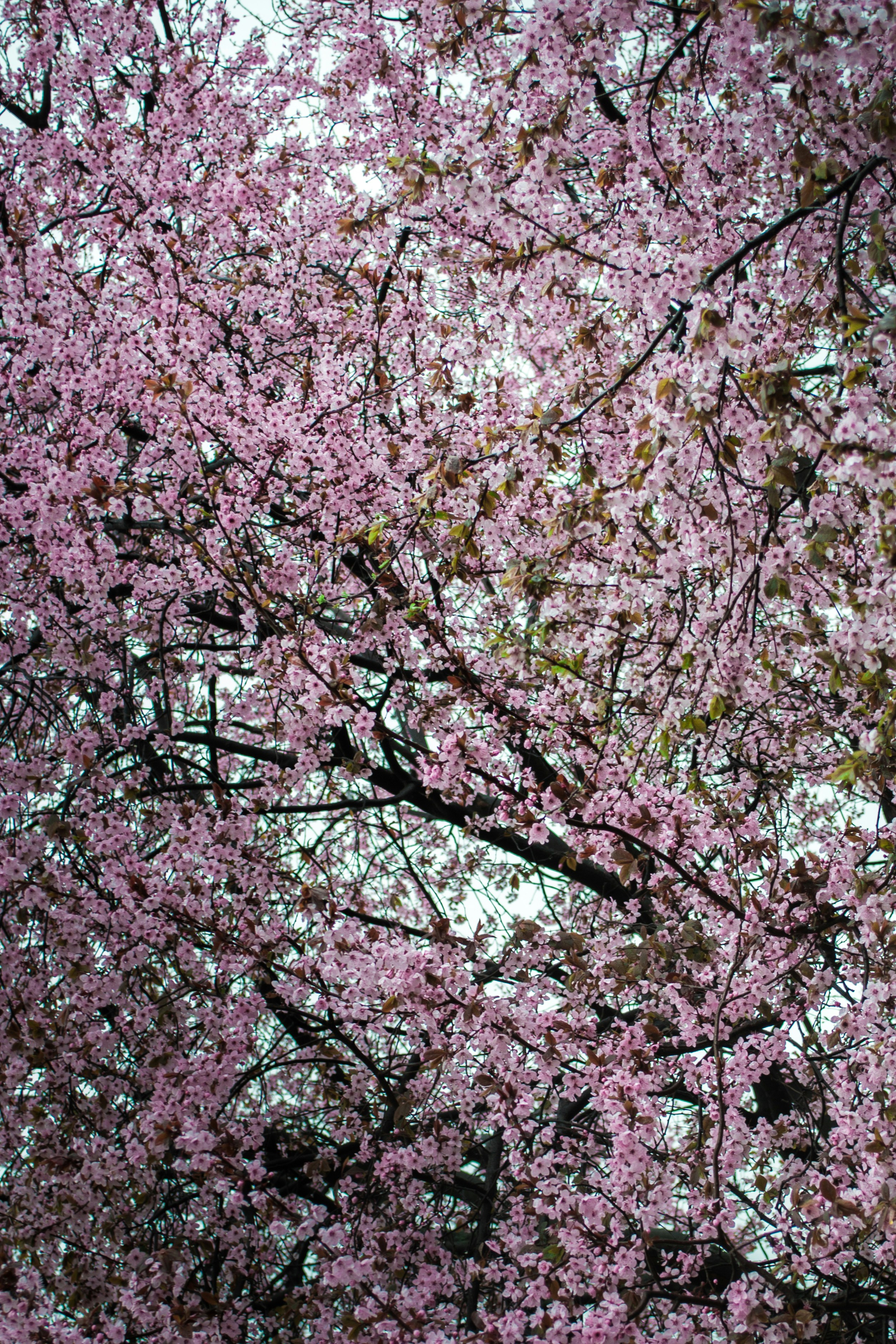 Photo by diseniatica