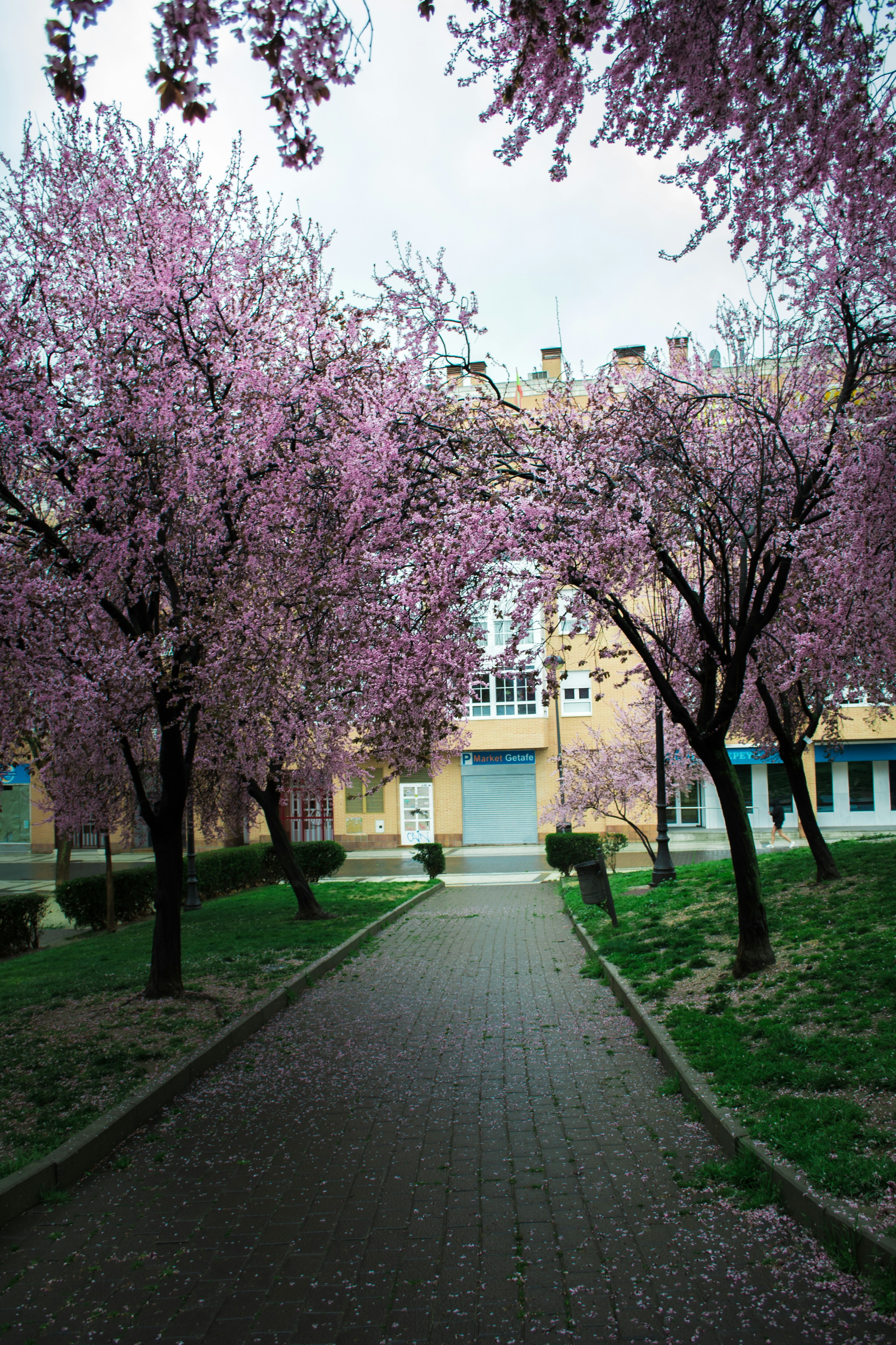 Photo by diseniatica