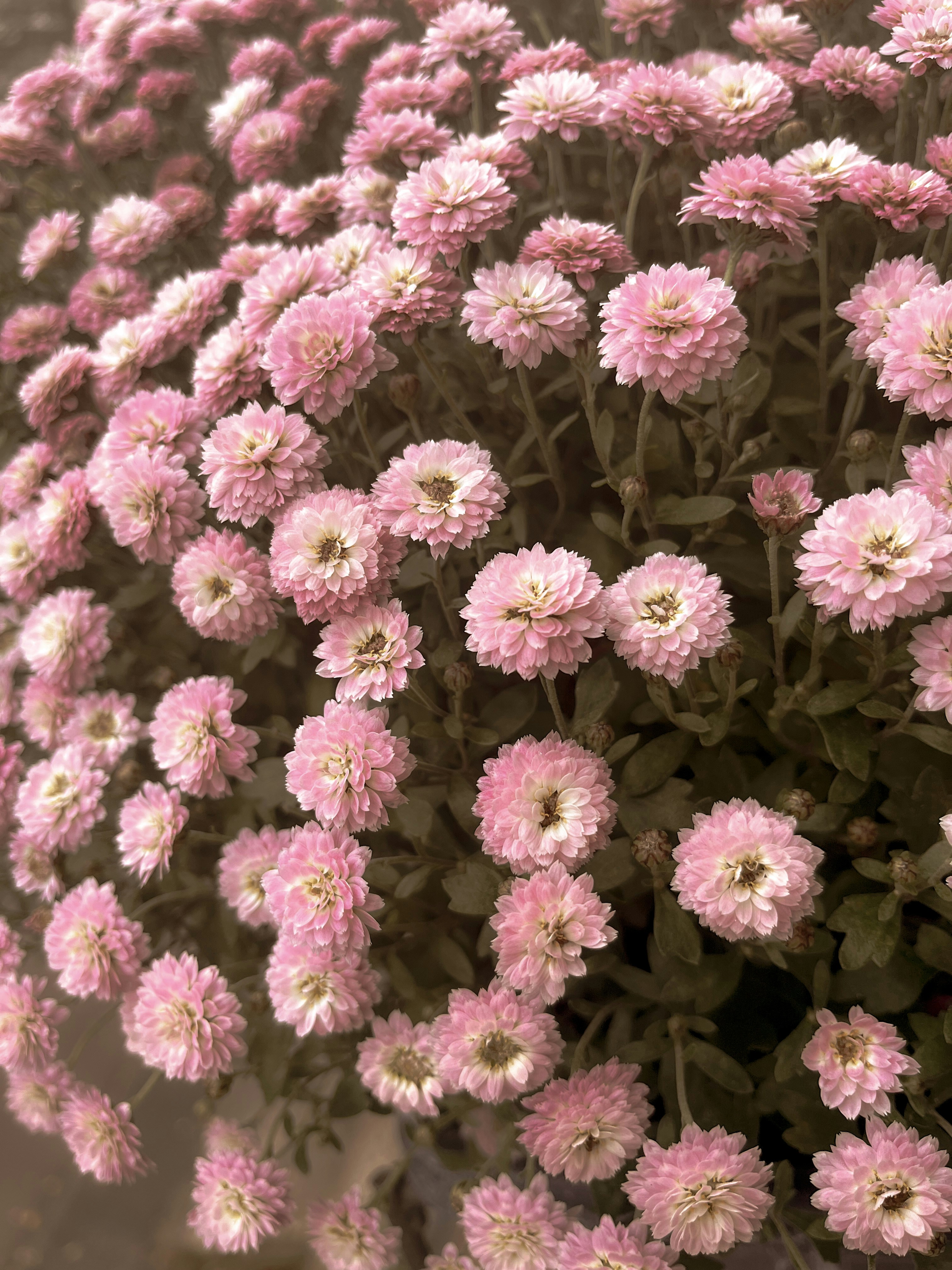 Photo by travelertraveler_