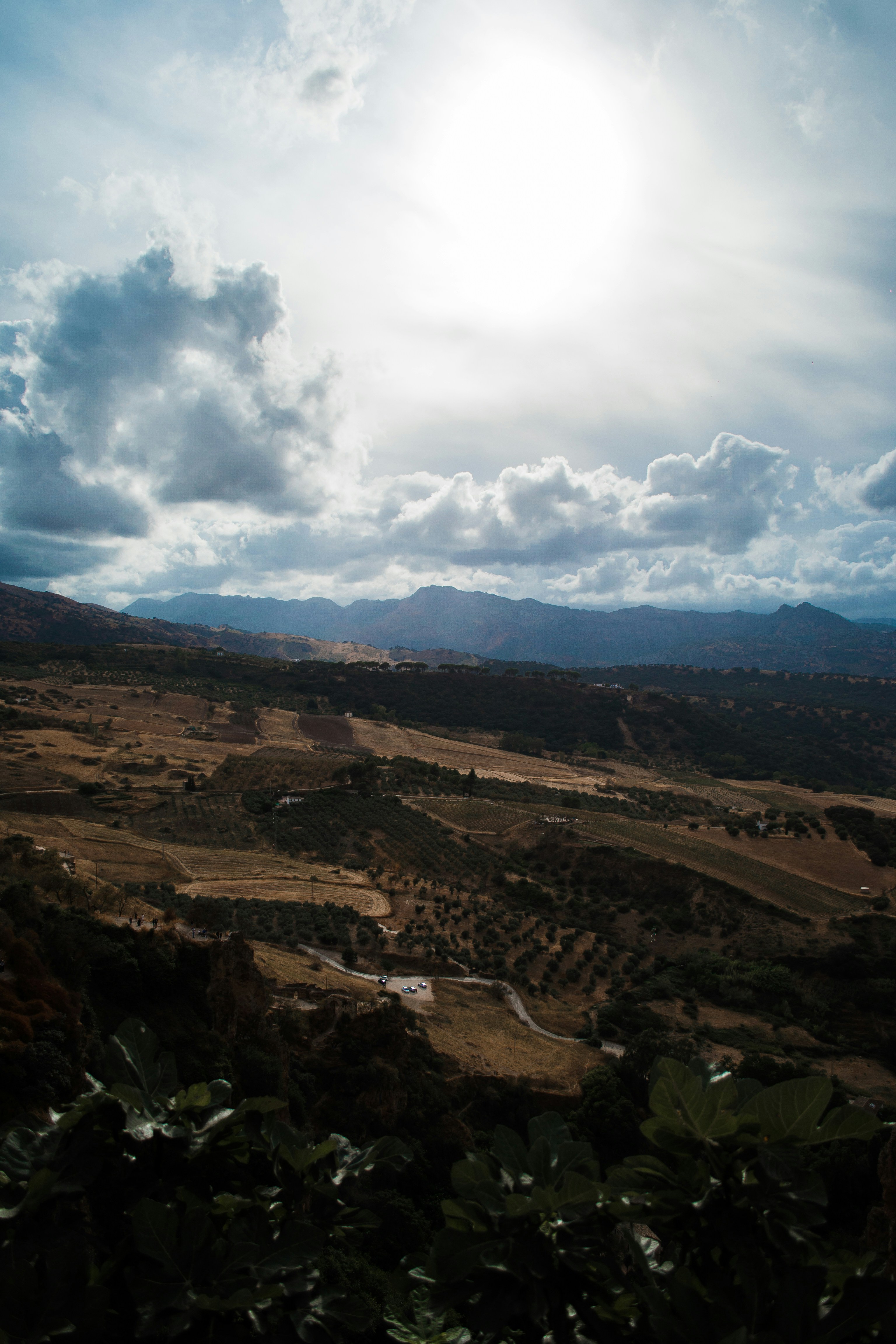 Photo by diseniatica