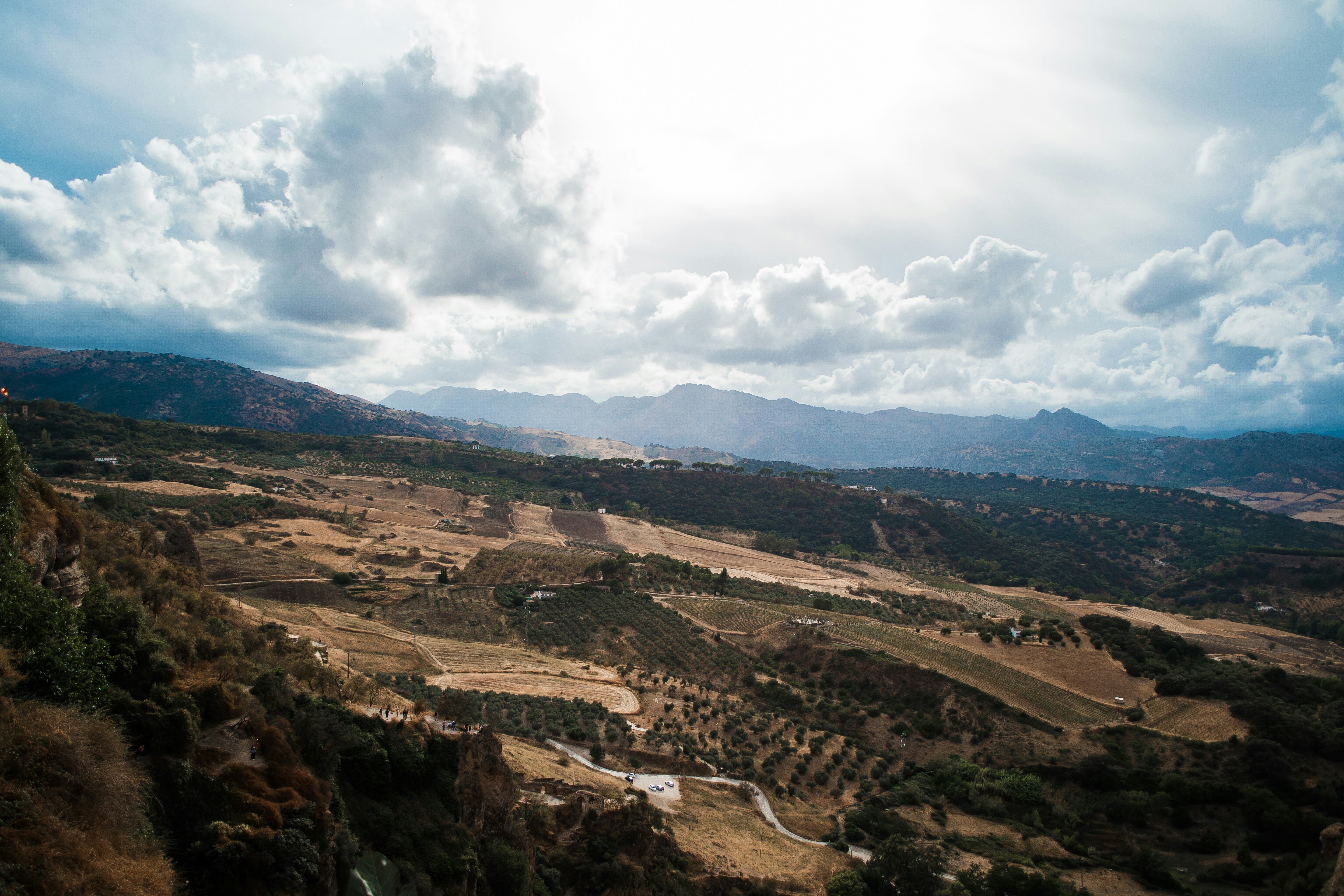 Photo by diseniatica