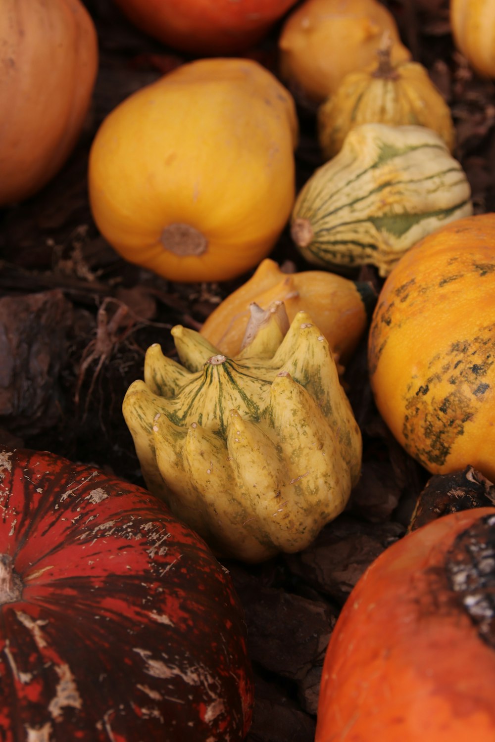 a pile of pumpkins