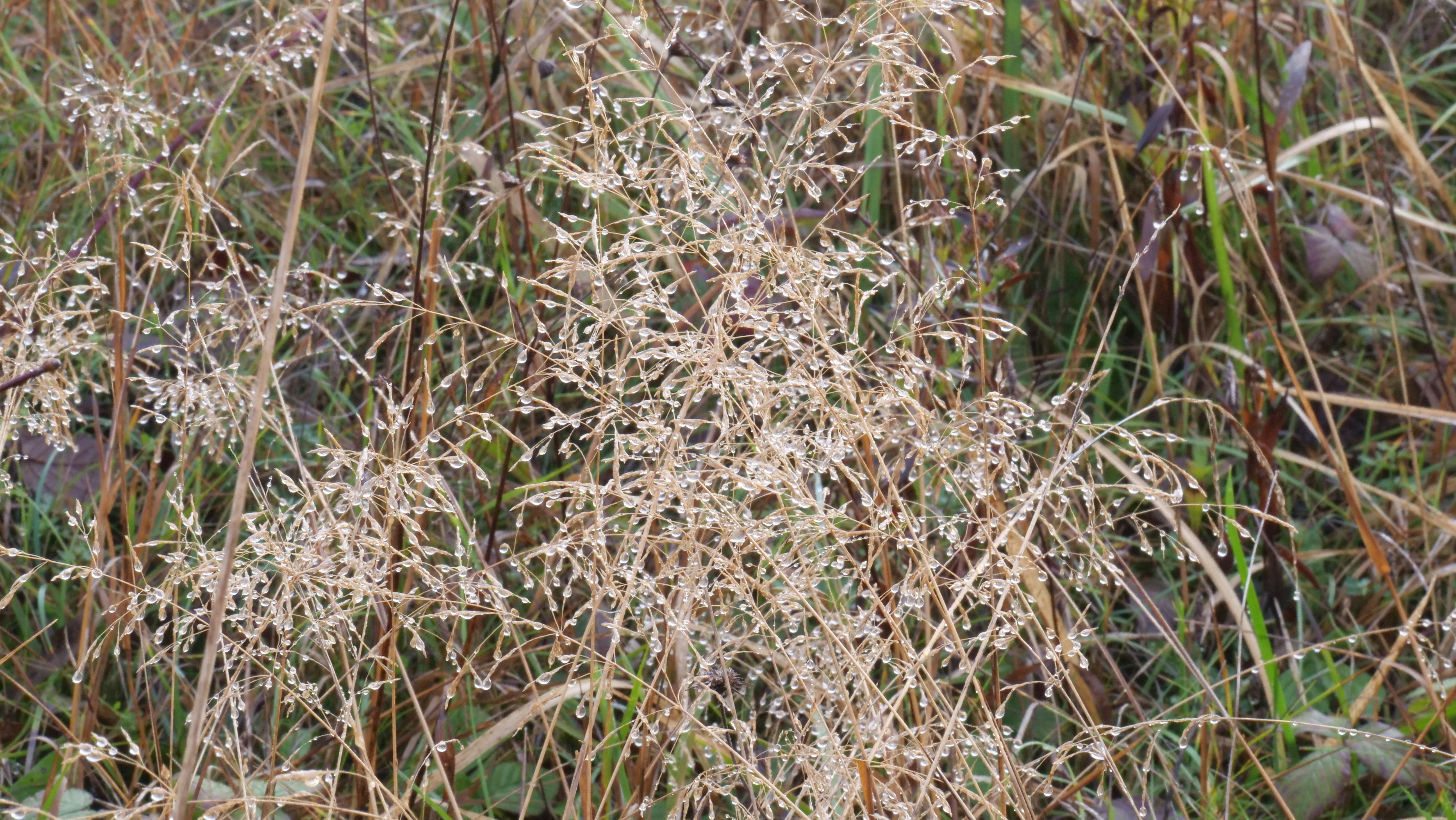 Photo by bryan151055