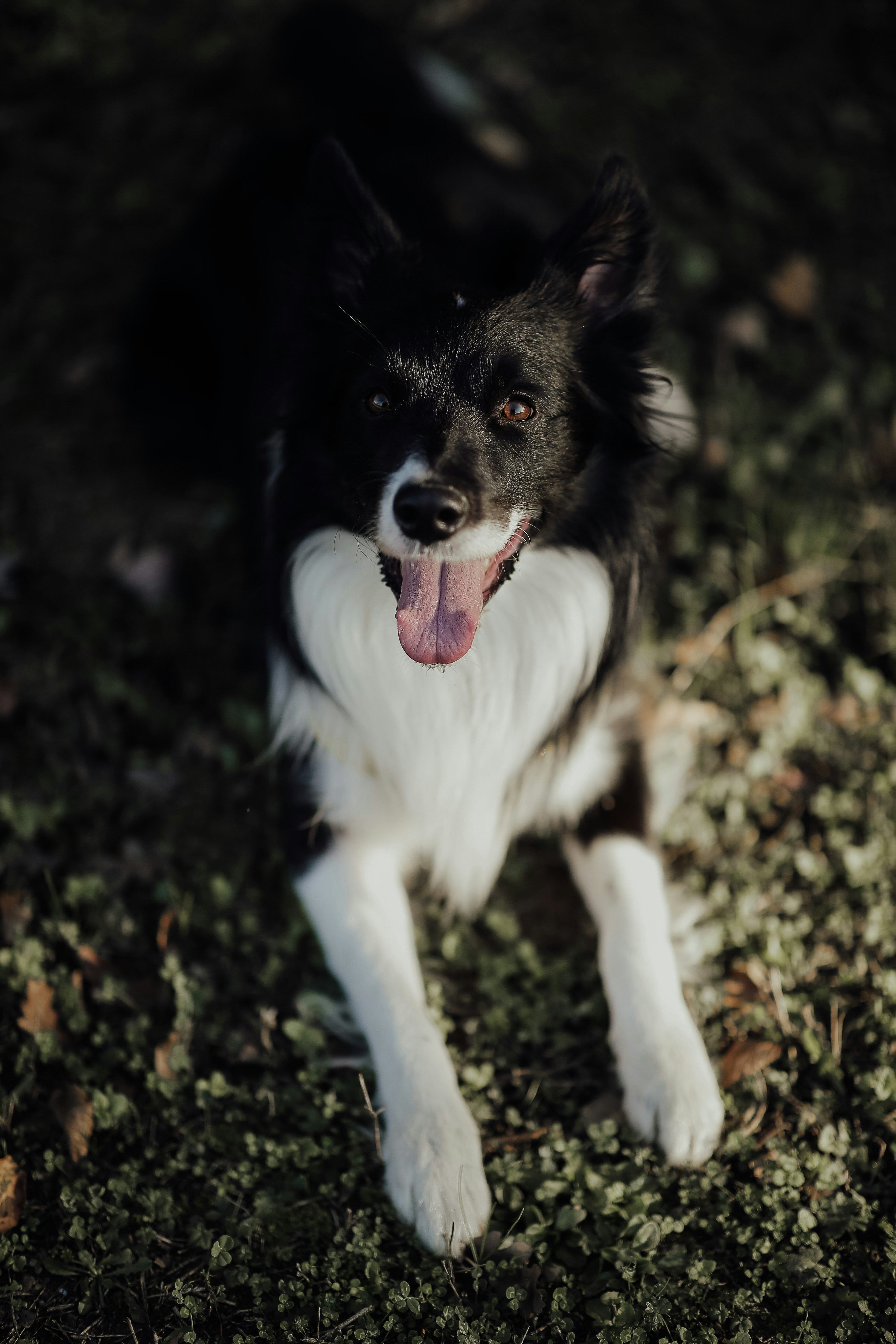 Photo by leylainwonderlandd