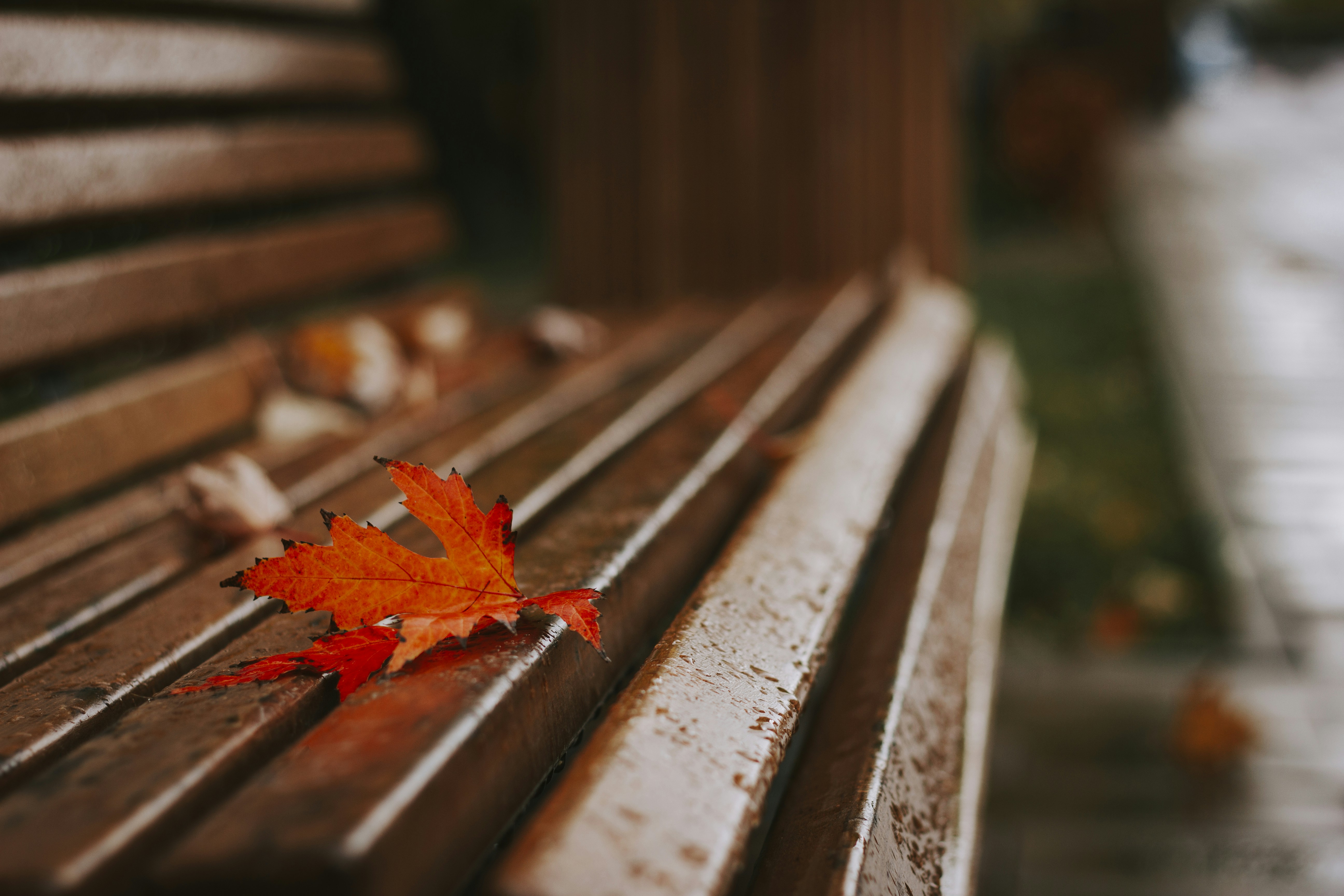 Photo by mr_papricka