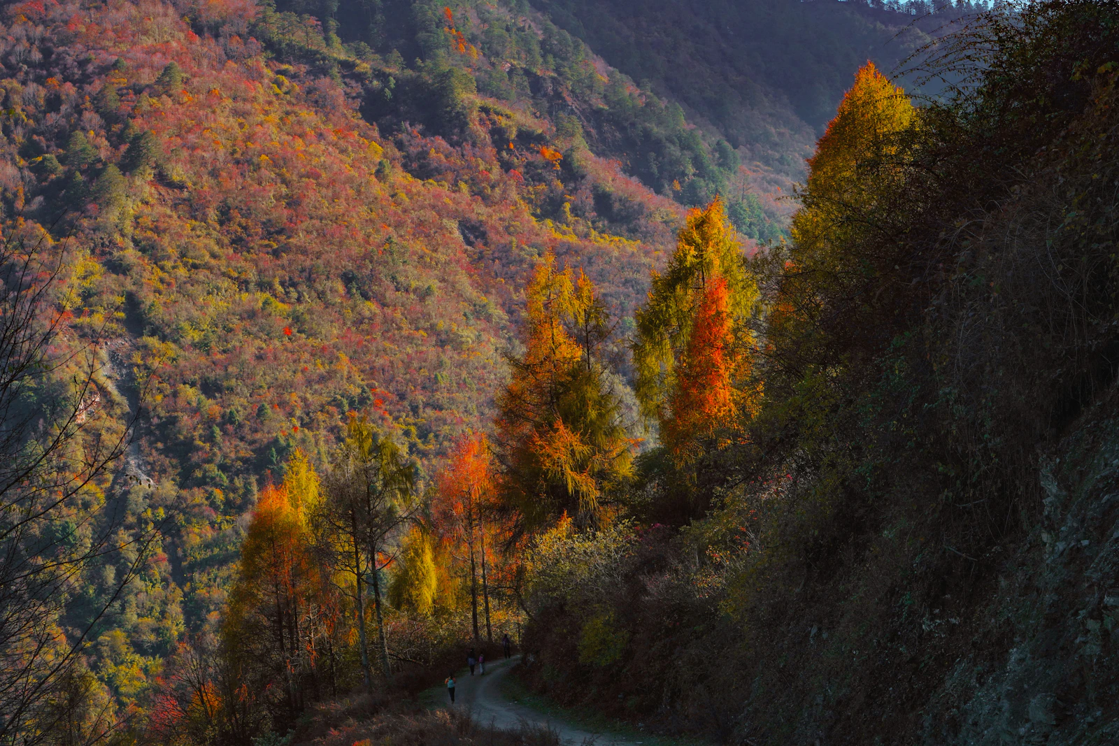 Six Senses Qing Cheng Mountain: Wellness at a Sacred Chinese Peak