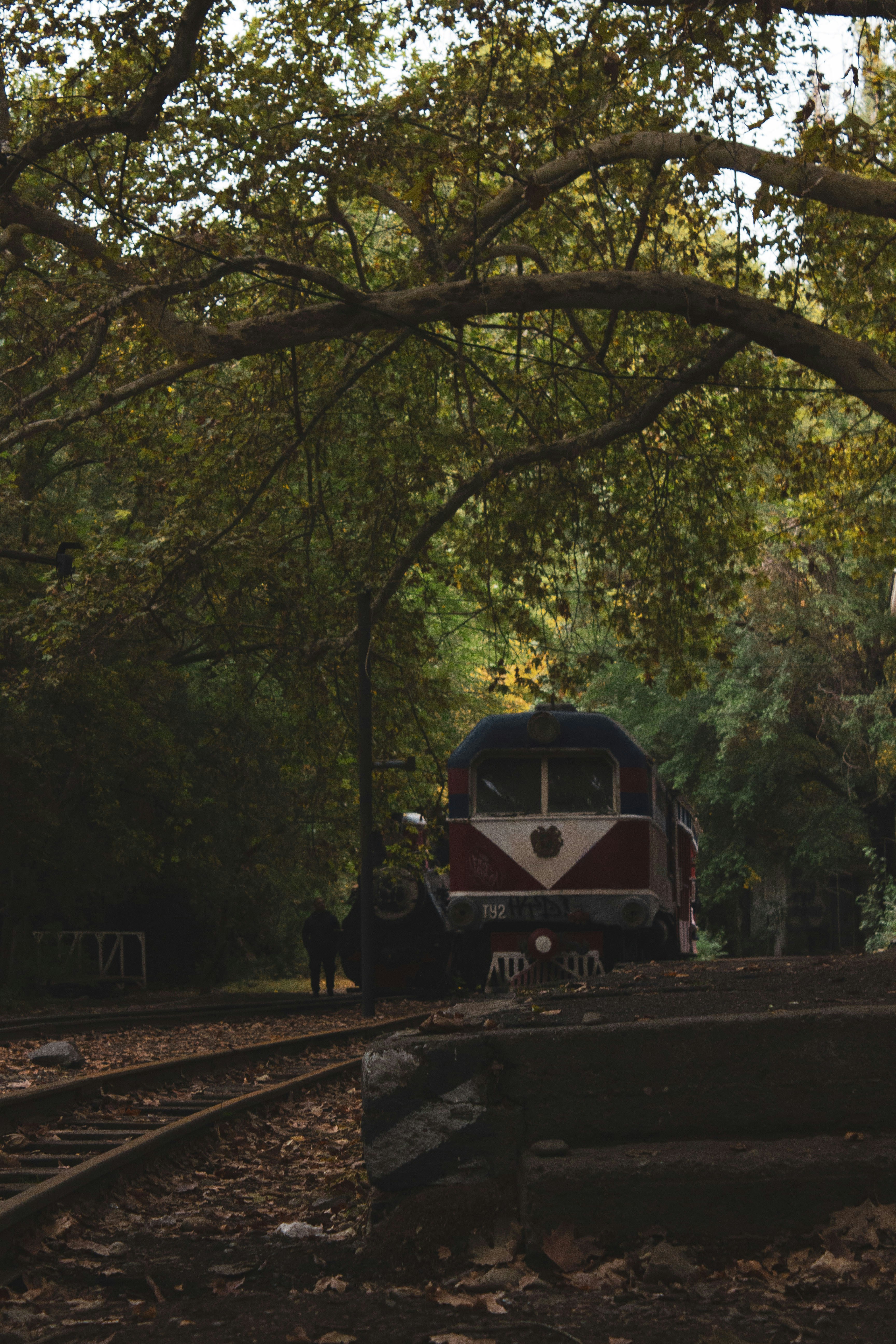 a train on the tracks