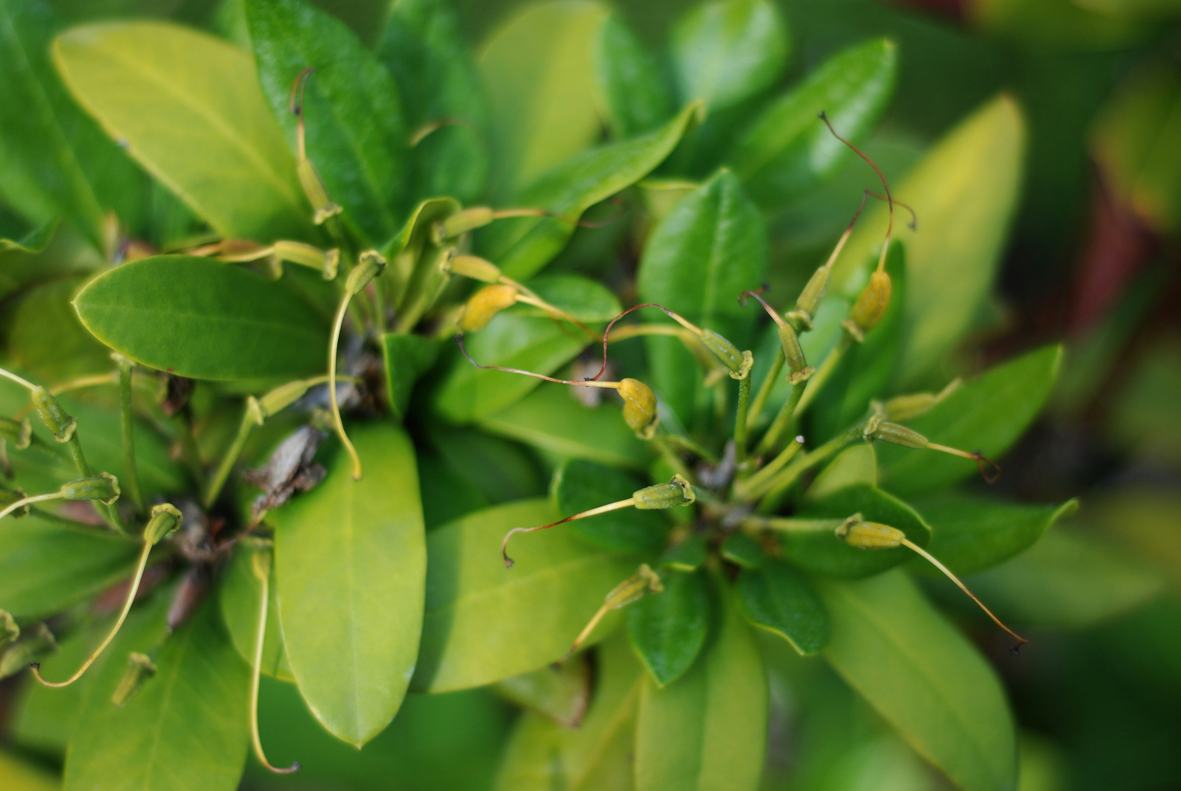 Photo by kovalskihelga