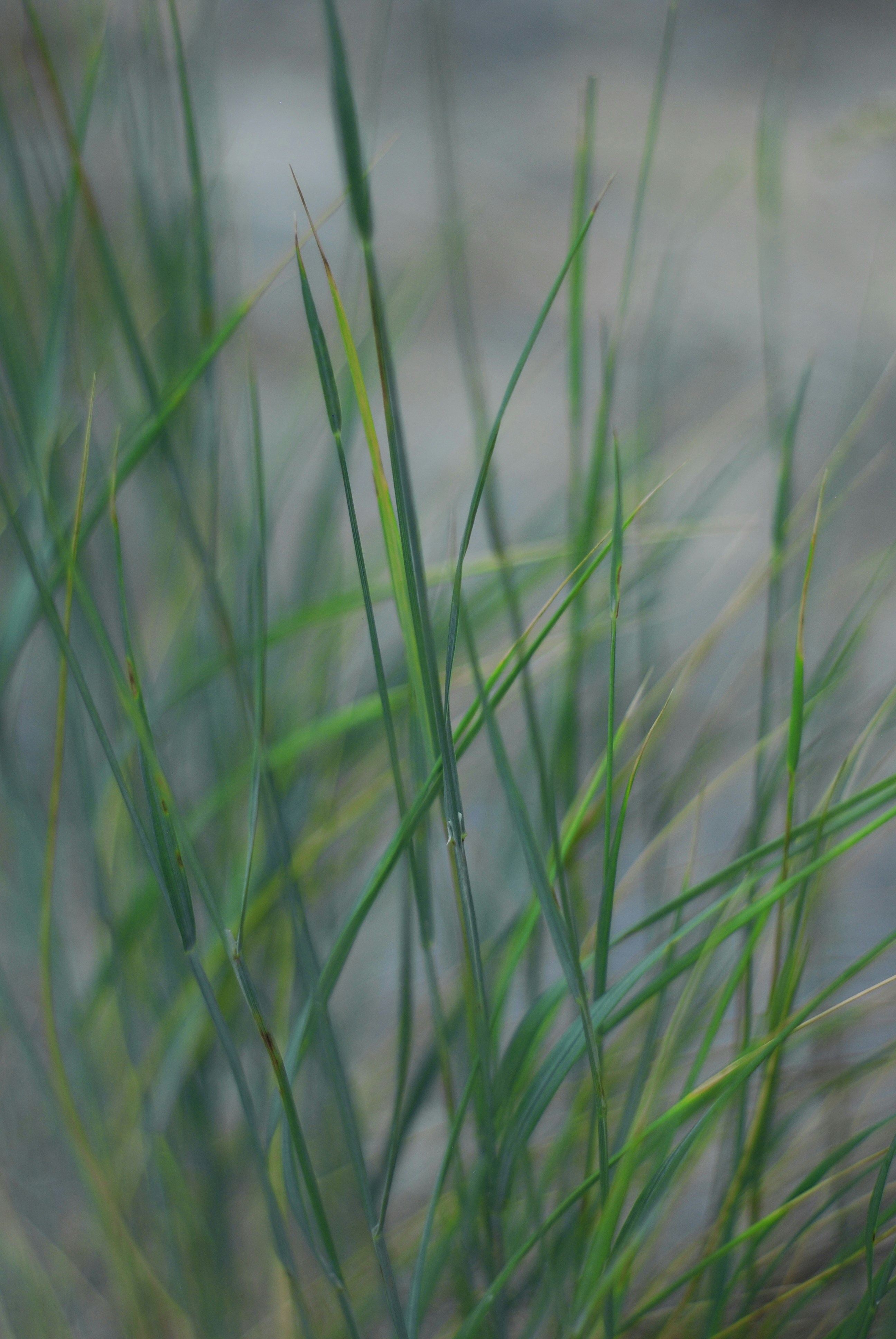 Photo by kovalskihelga