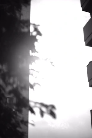 Black and white photograph with high contrast and strong visual impact.