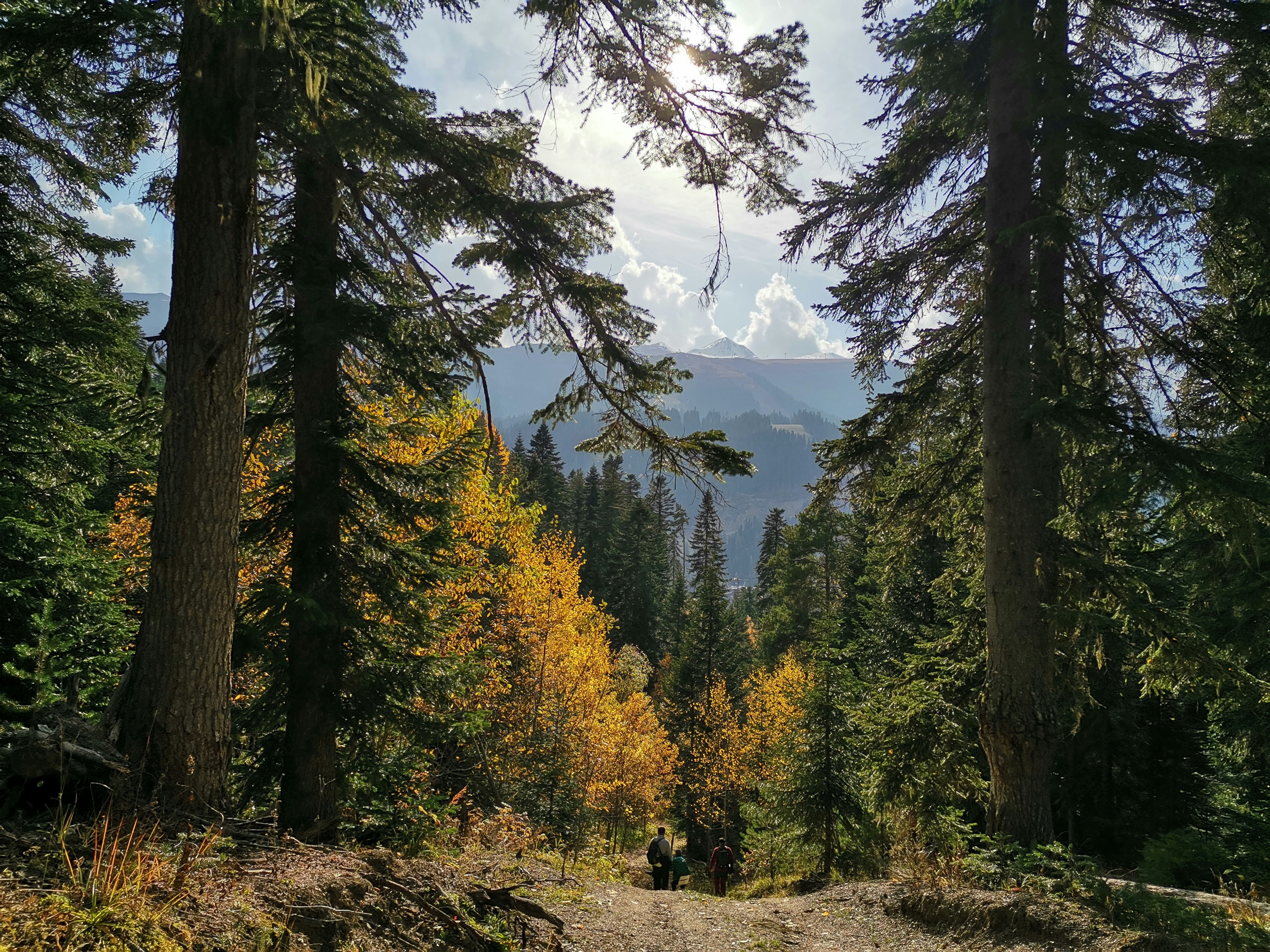 Photo by nadezhda_voytulevich