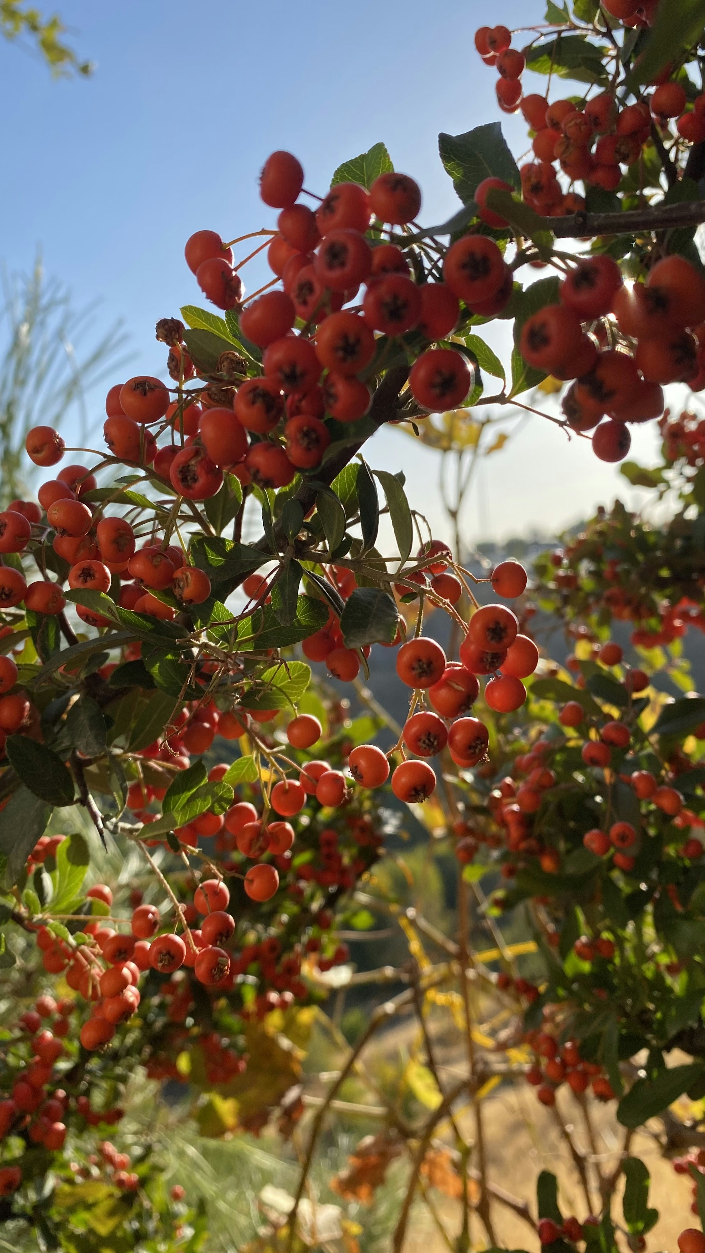 Photo by thallasophile