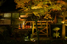 Evening view of a wooden homestay glowing warmly against a backdrop of pine trees.