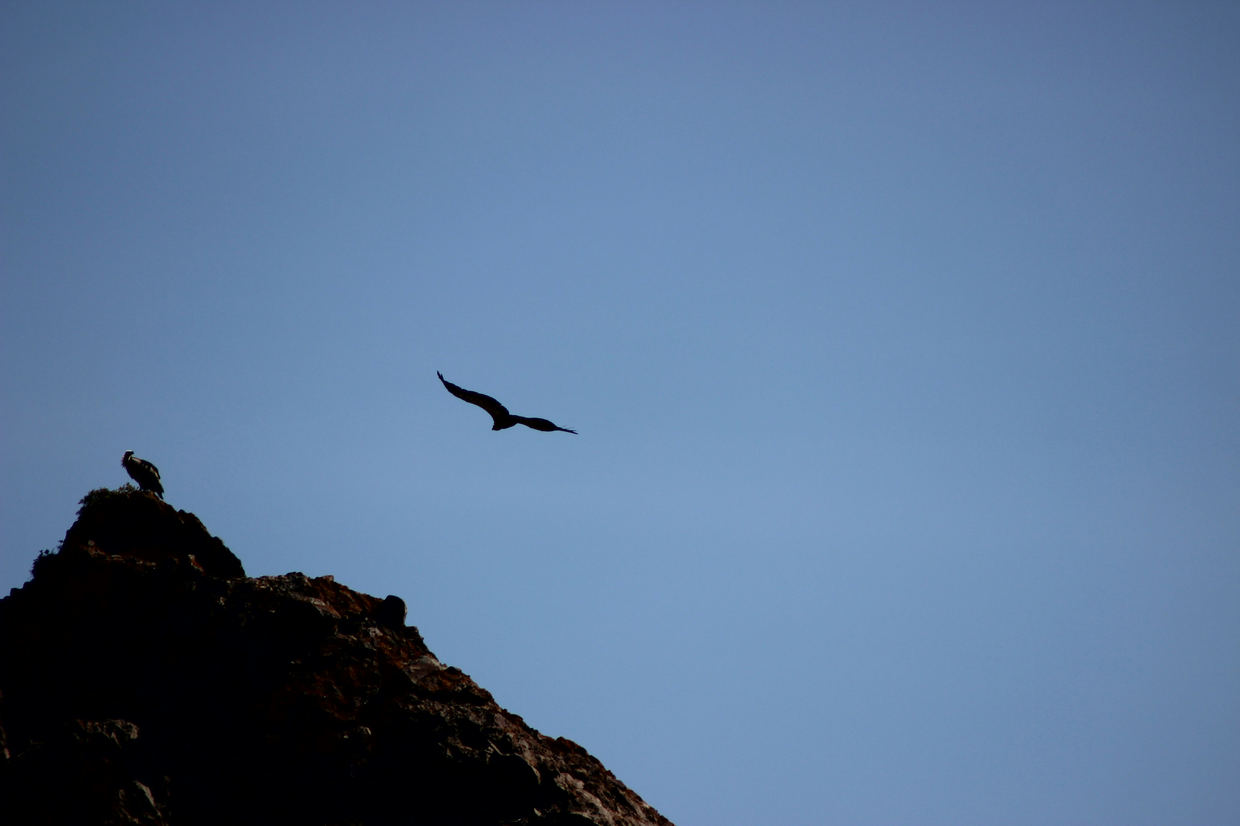 Photo by francesco_saitta