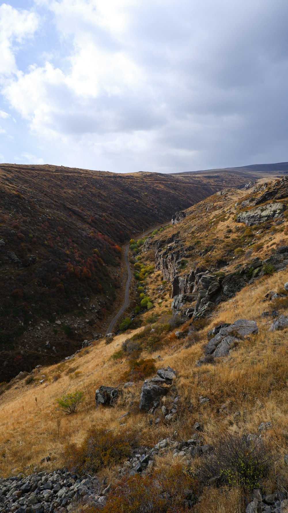 a rocky and grassy area