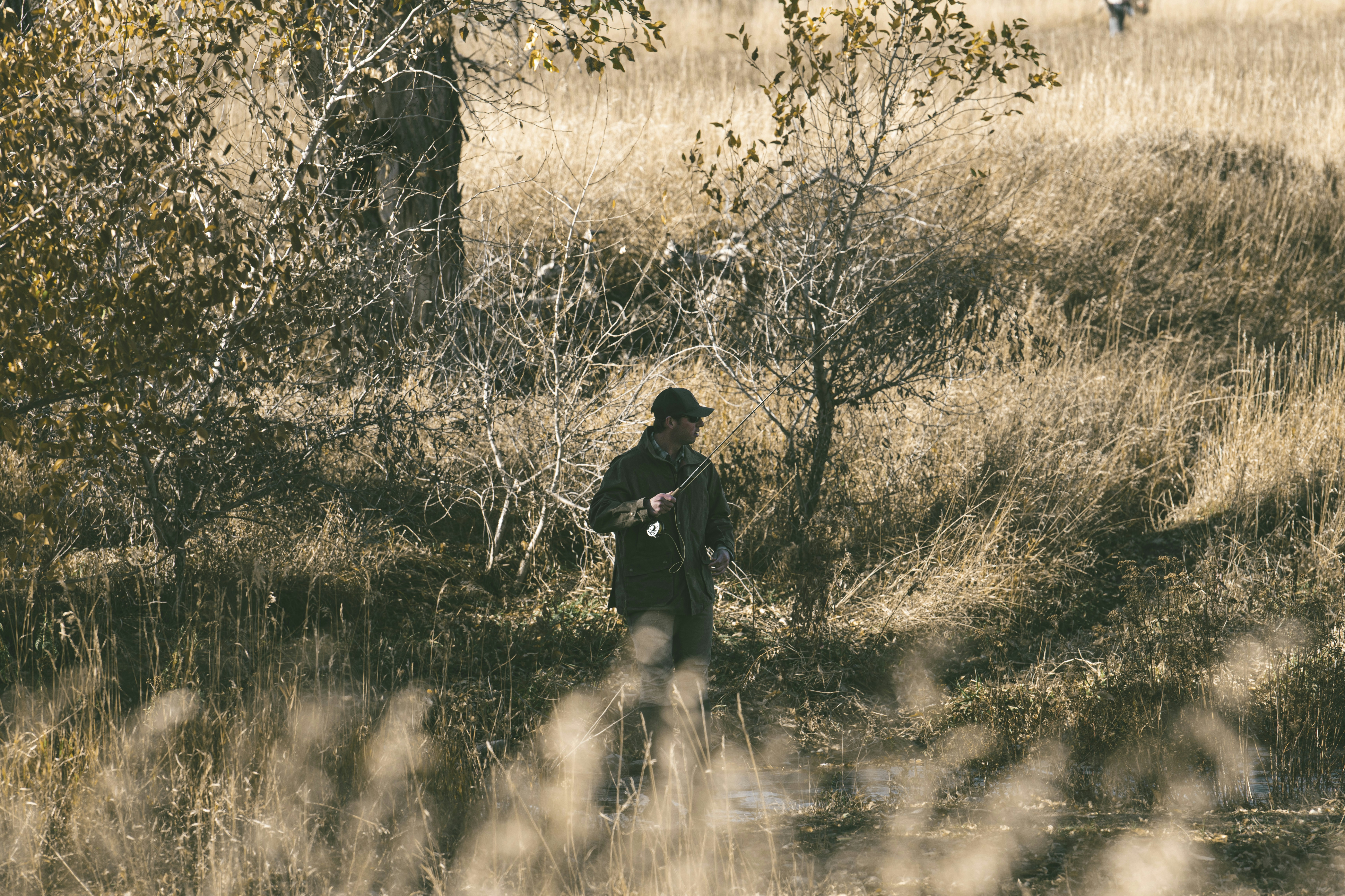 DC의 주 방위군 총격이 사망했다고 웨스트버지니아 주지사가 확인 – 업데이트