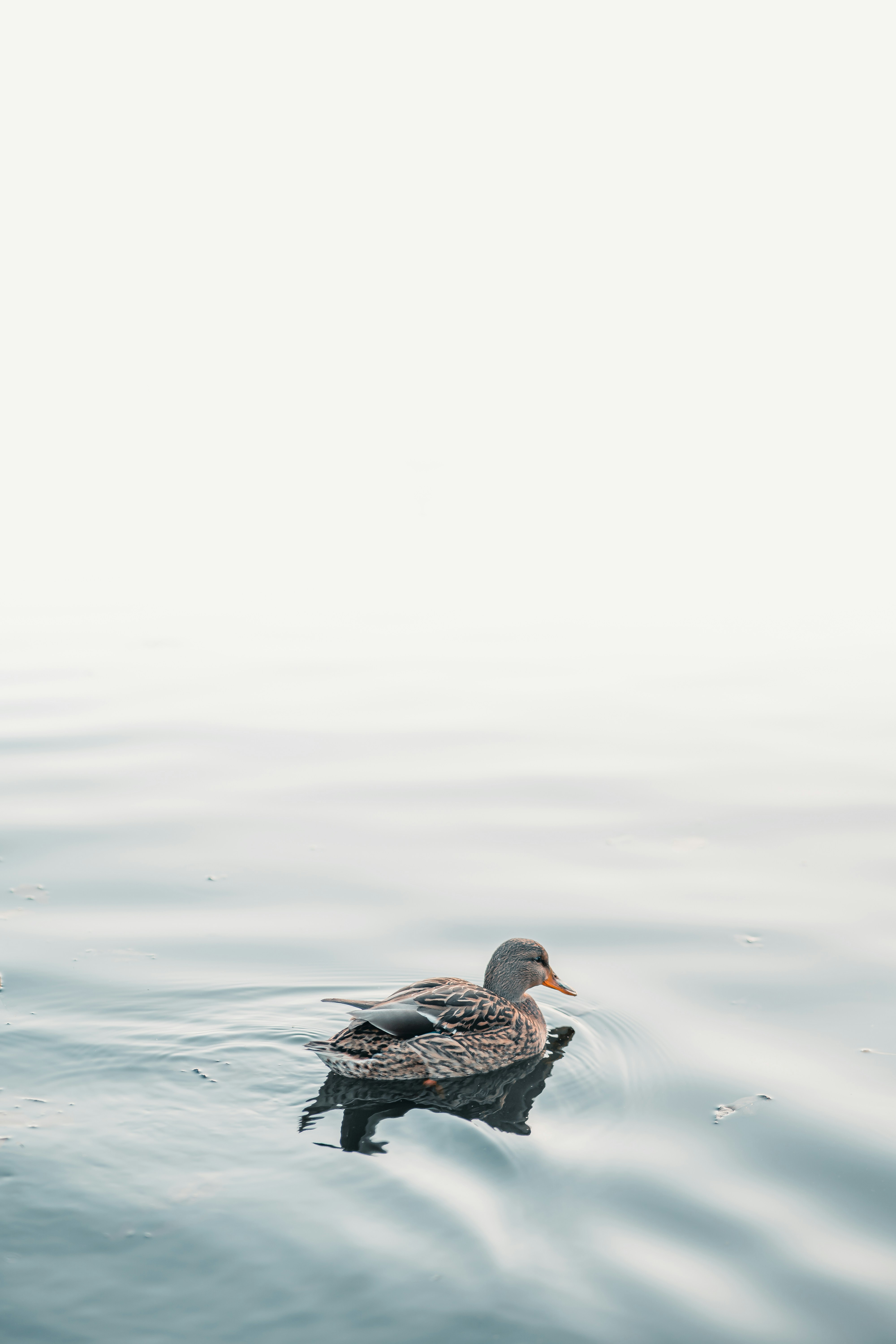 Photo by dermanuskript