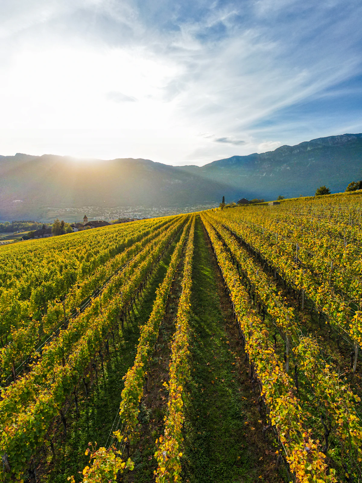 Alto Adige