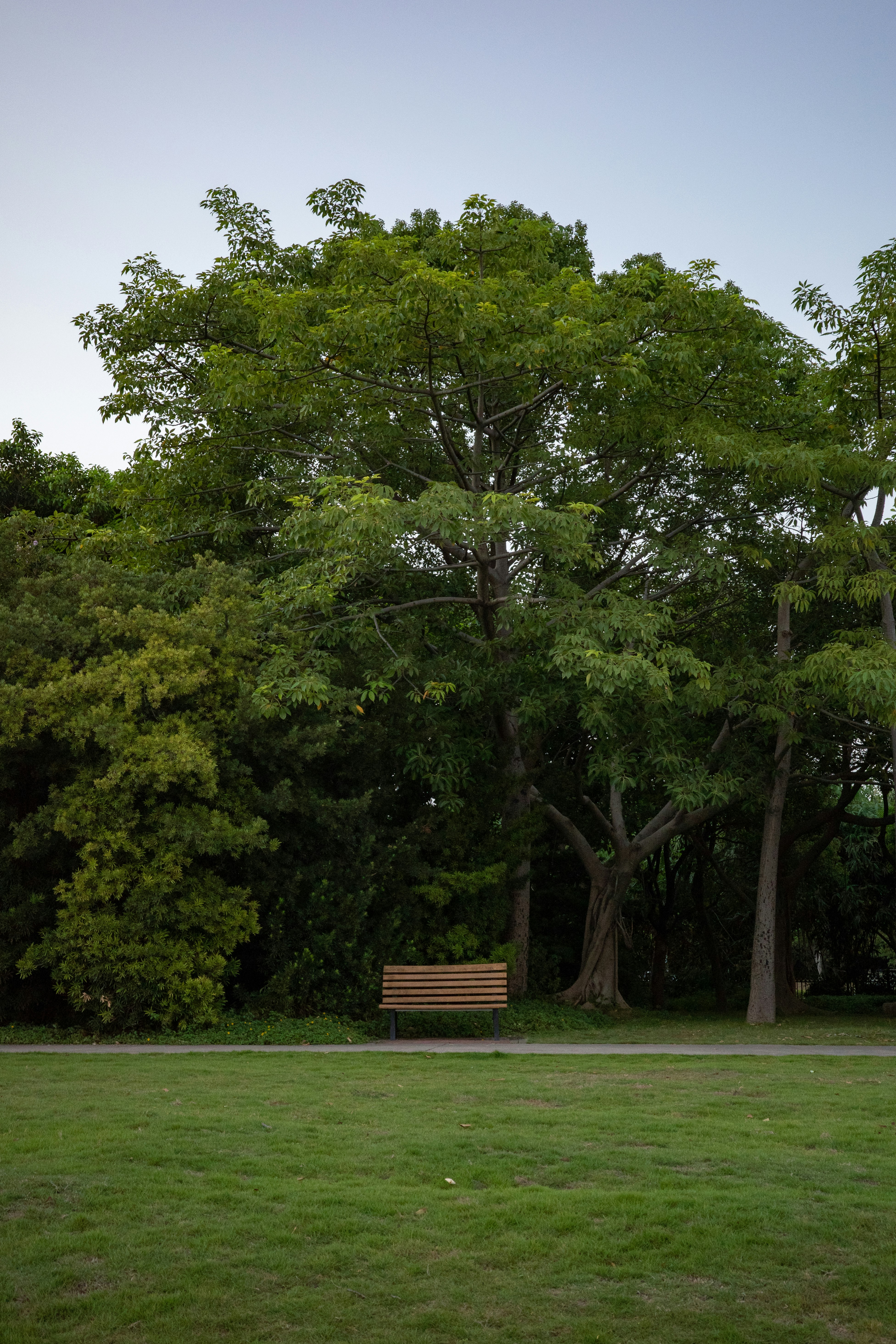a bench in a park