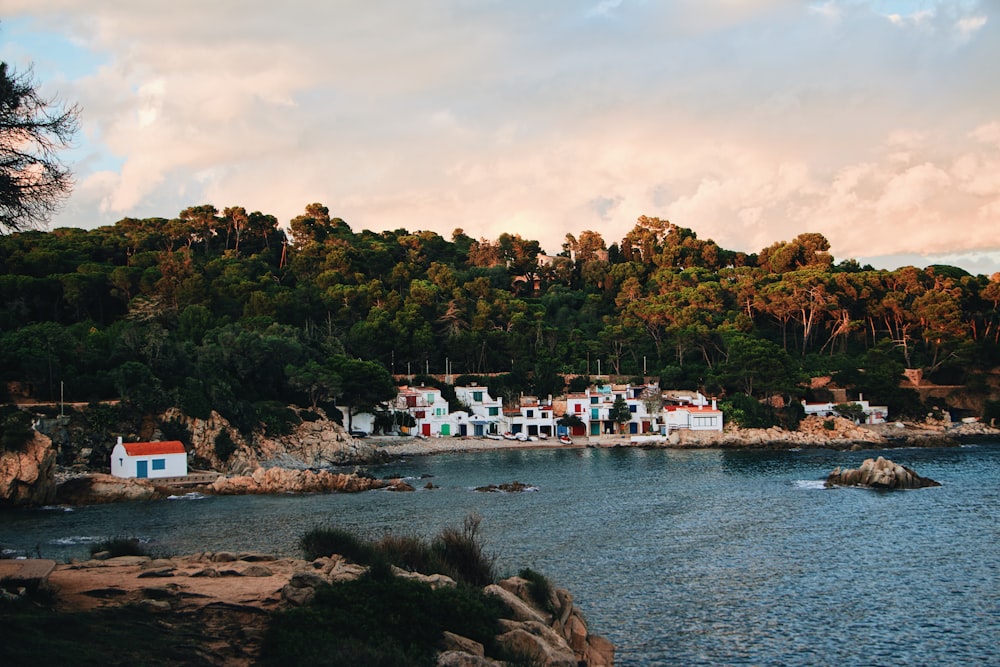 a body of water with houses along it and trees around it