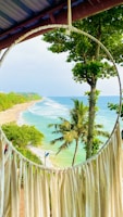 a beach with palm trees and a body of water