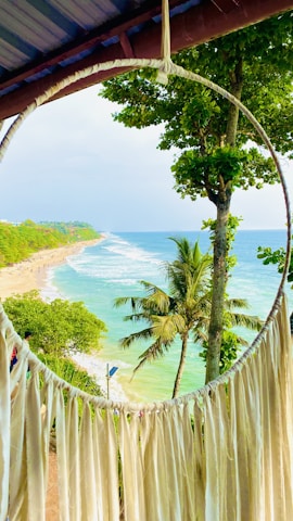 a beach with palm trees and a body of water