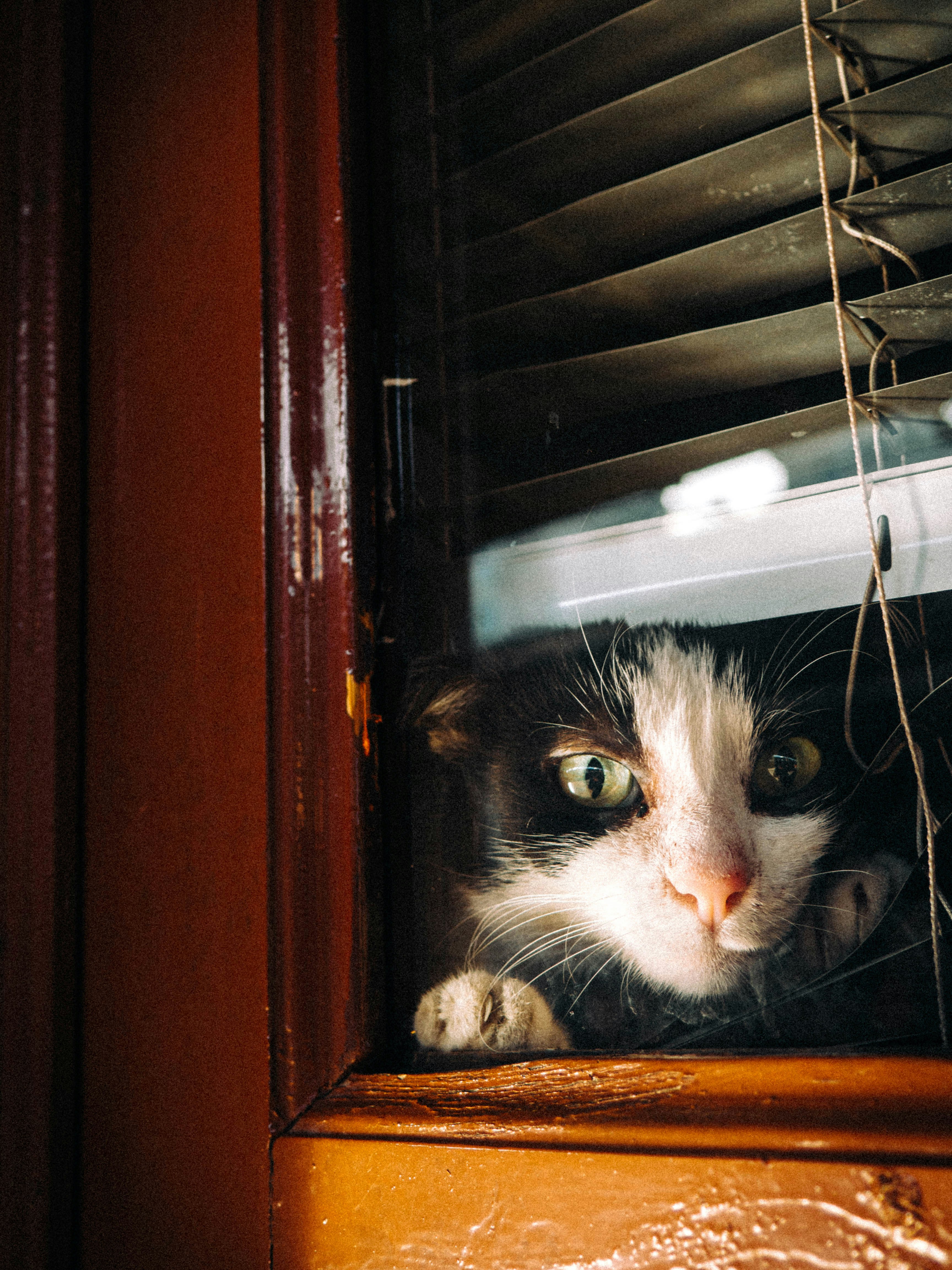 Photo by galleryofmyeye