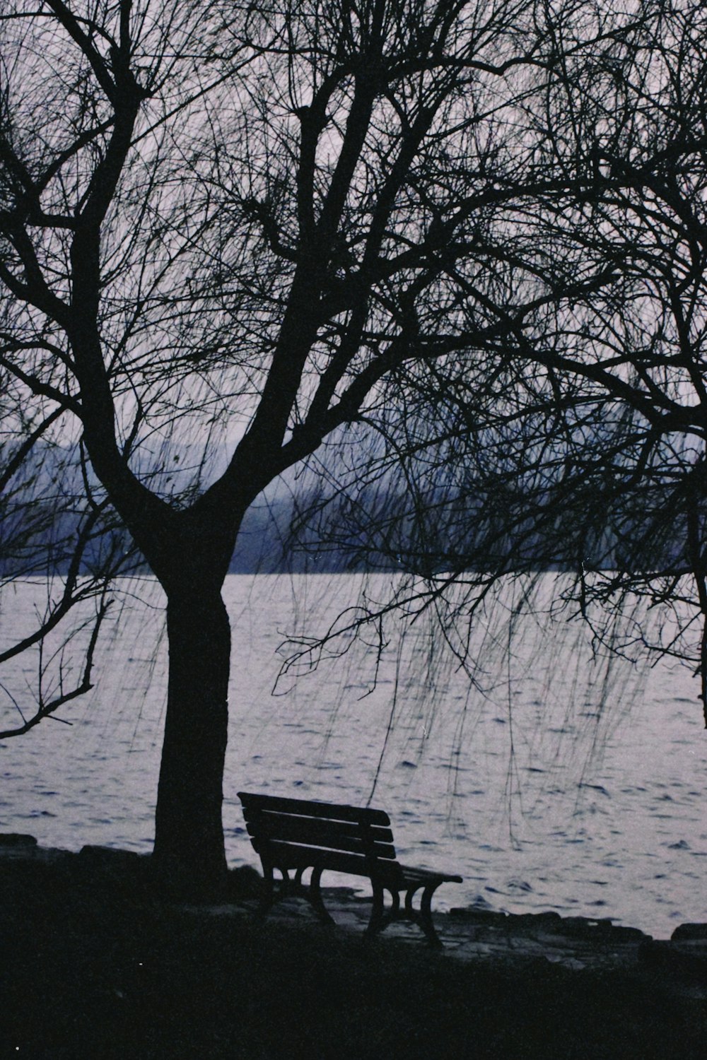 a bench sits unoccupied