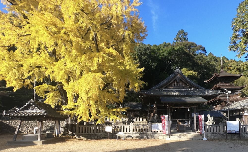 a group of buildings with trees in the back