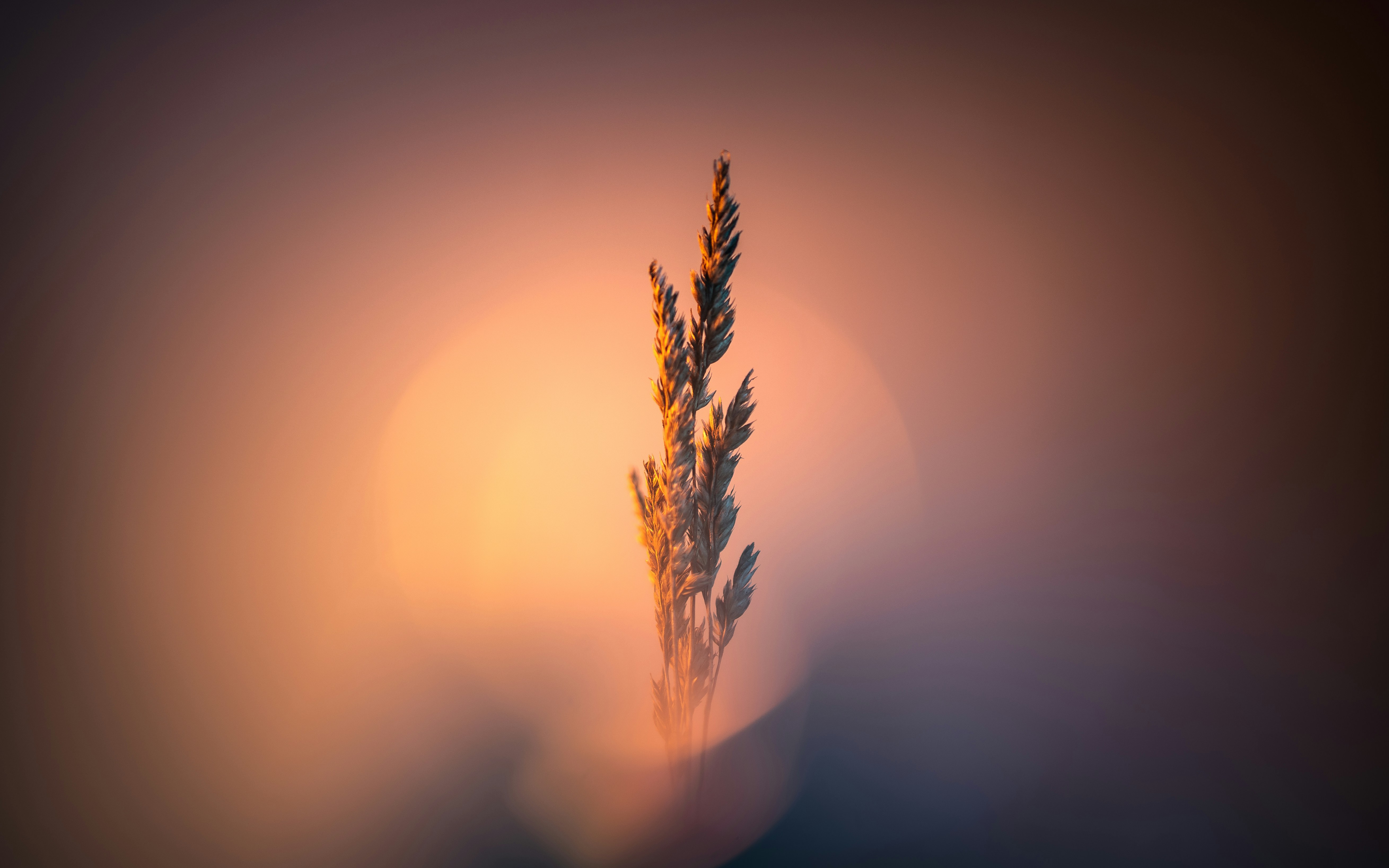 Photo by marekpiwnicki