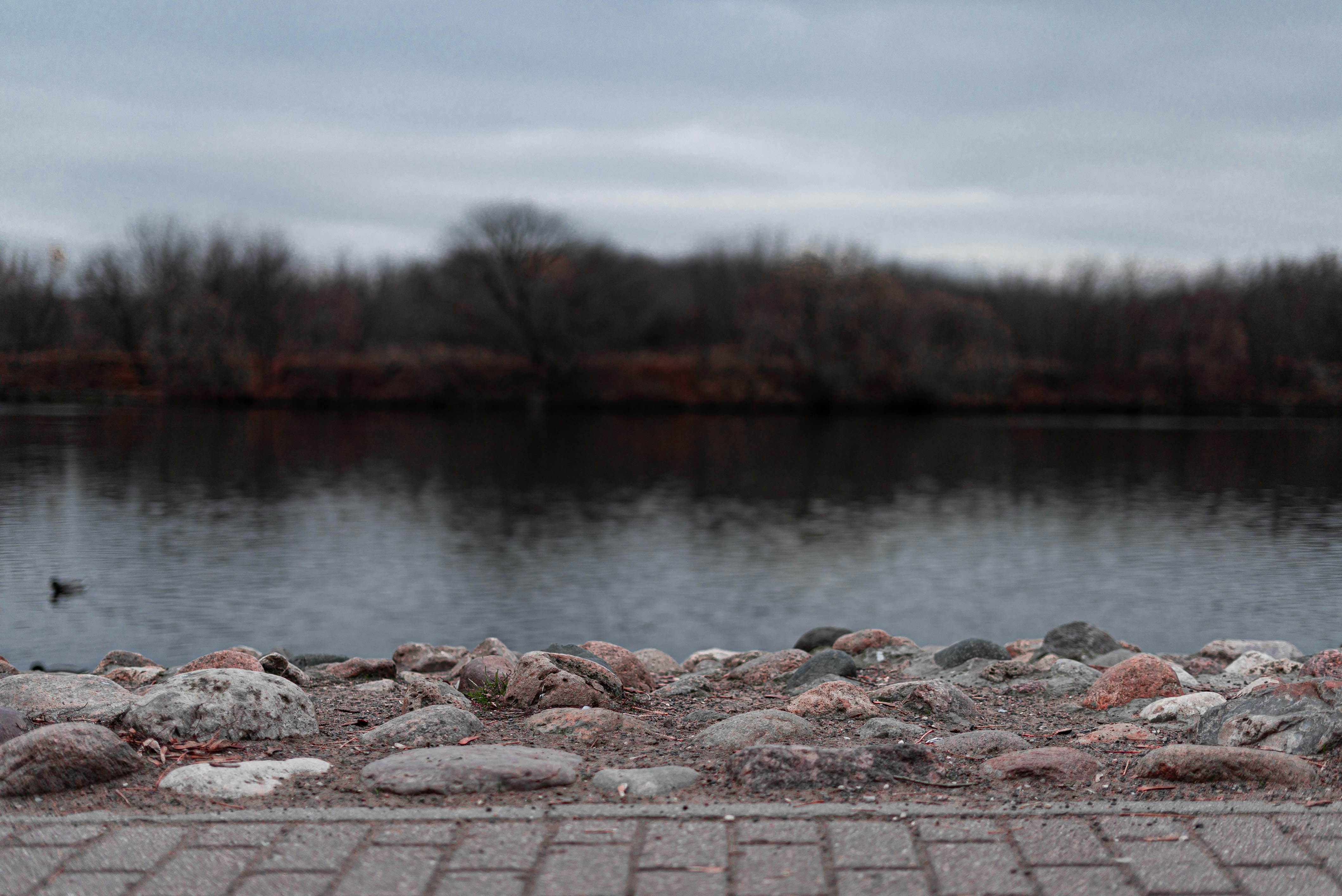 a body of water with rocks and trees in the background