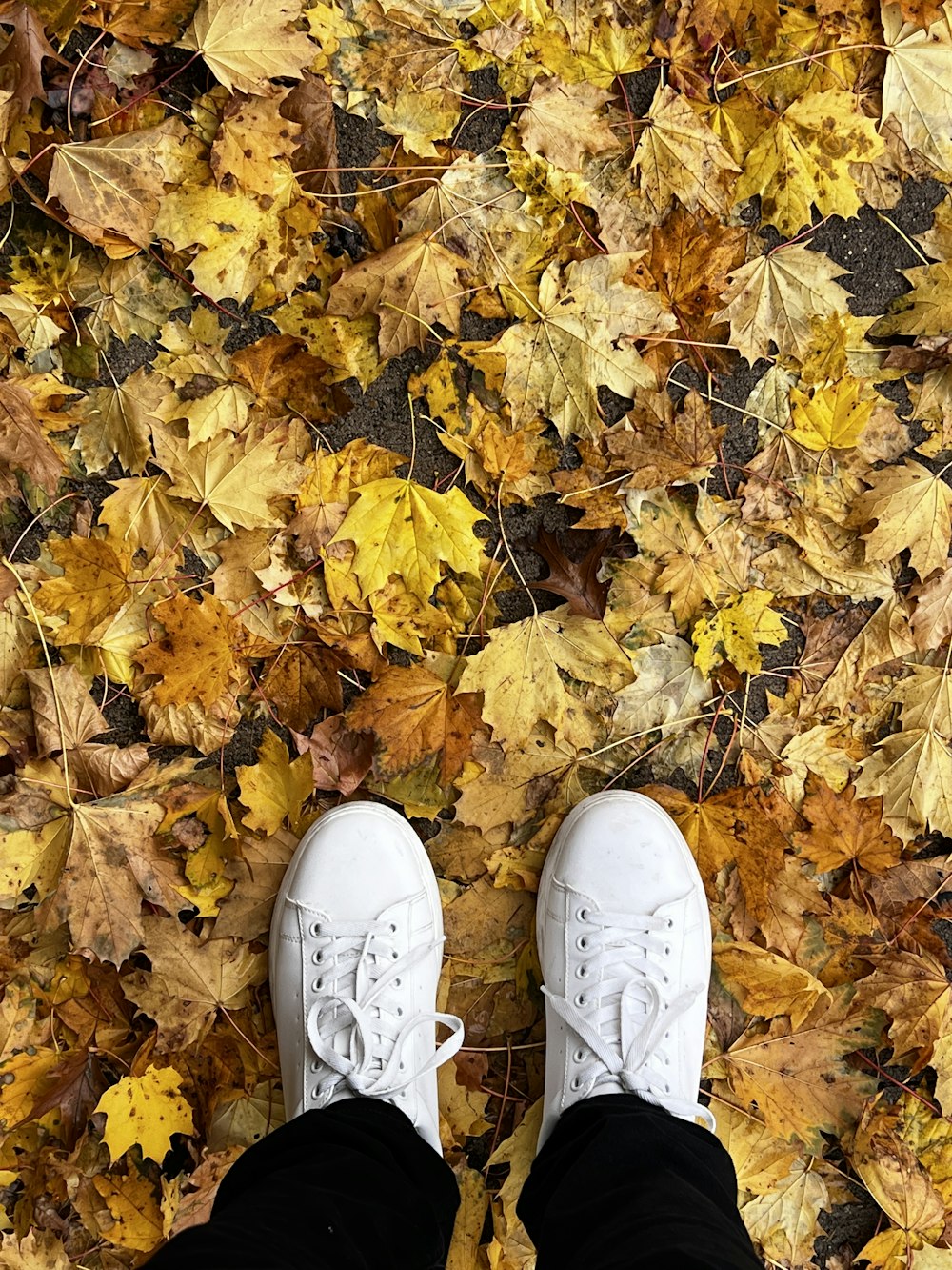 a pair of feet in white shoes on a pile of leaves