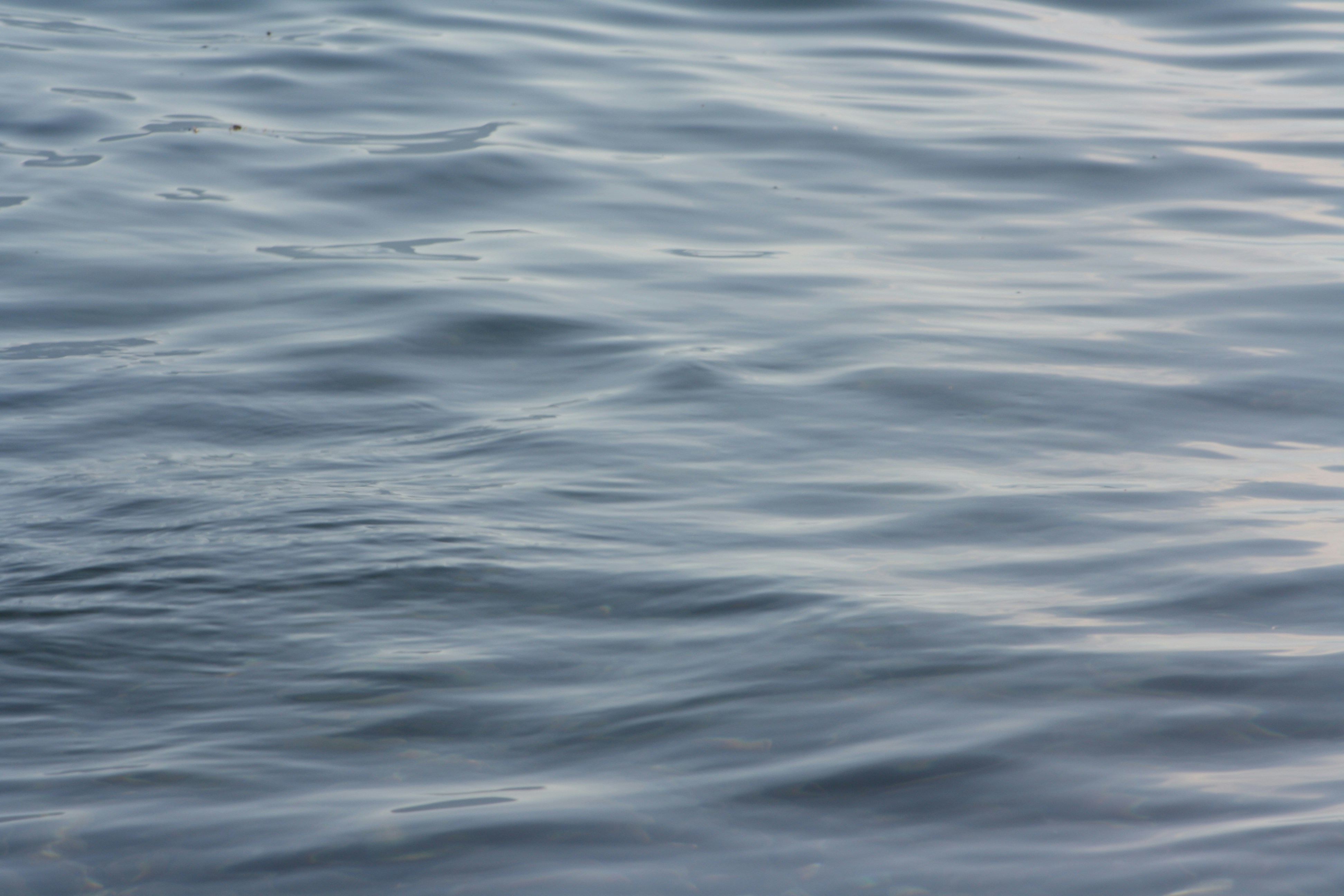 Photo by rosabella_della