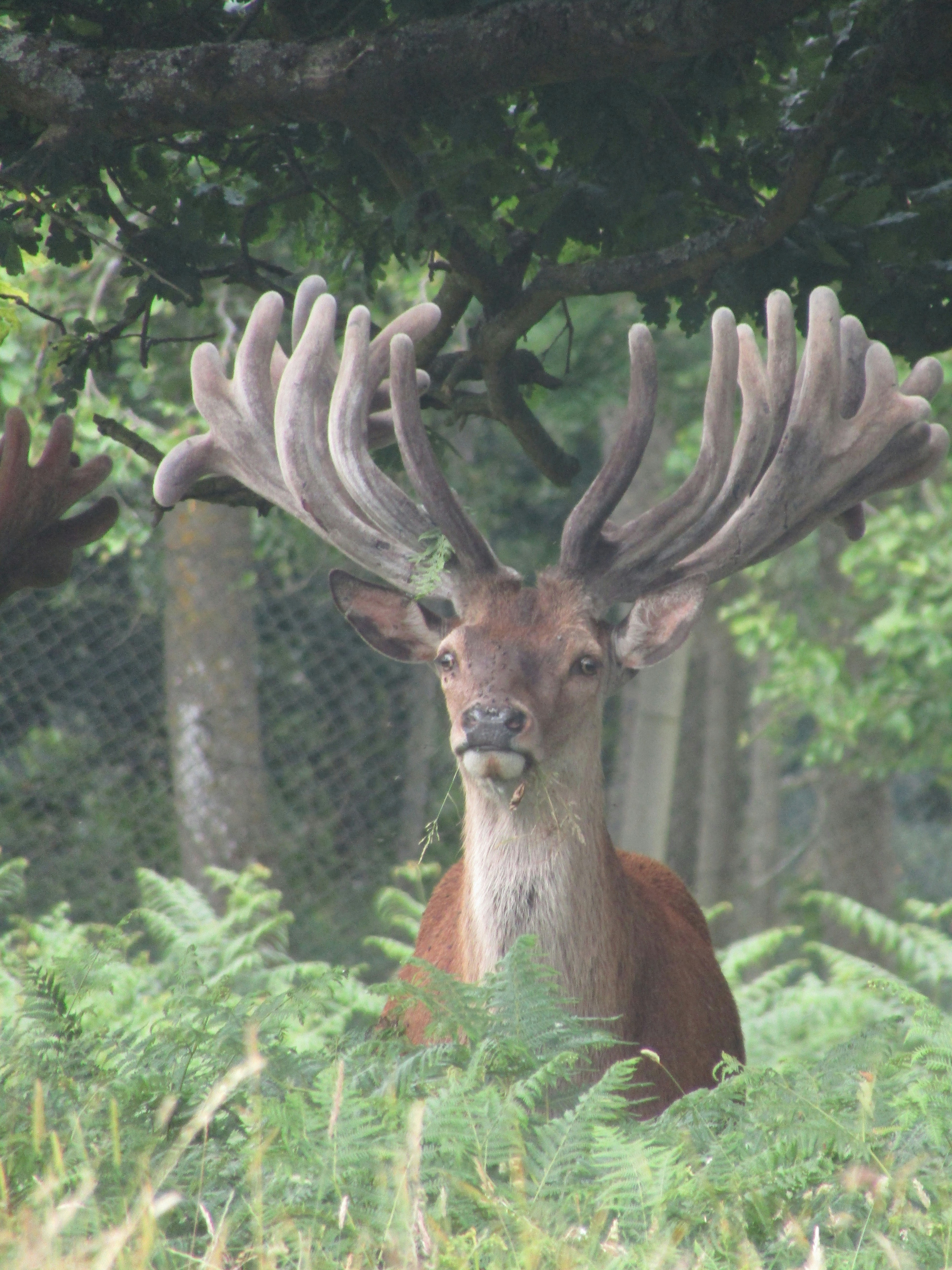 Photo by gerbil3865