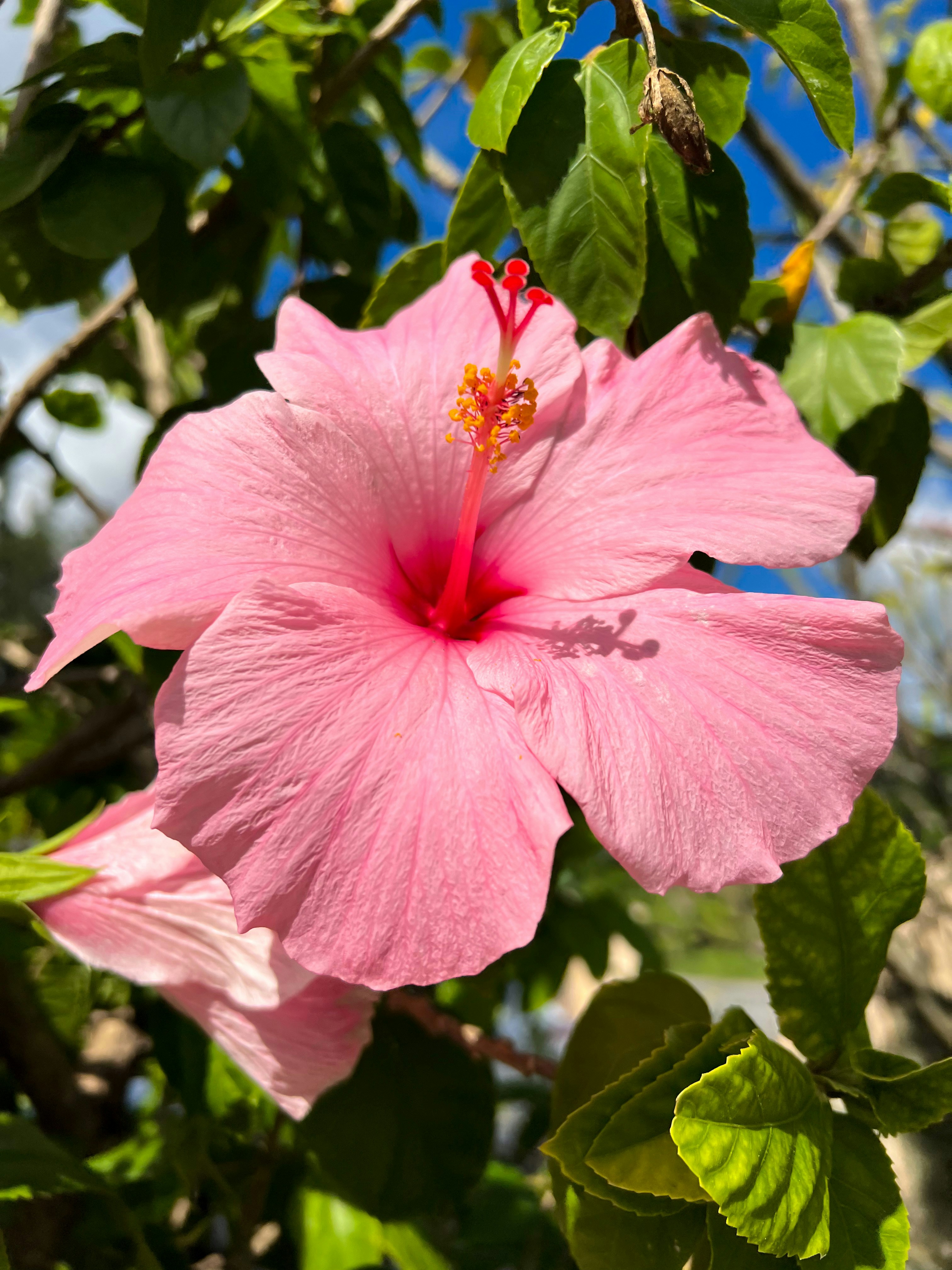 Photo by autumnarrives