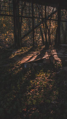 Sunlight filtering through scaffolding around a partially built home.
