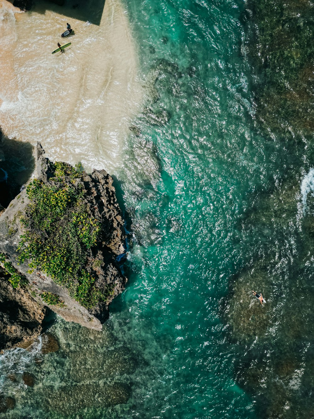 a group of people swimming in a body of water