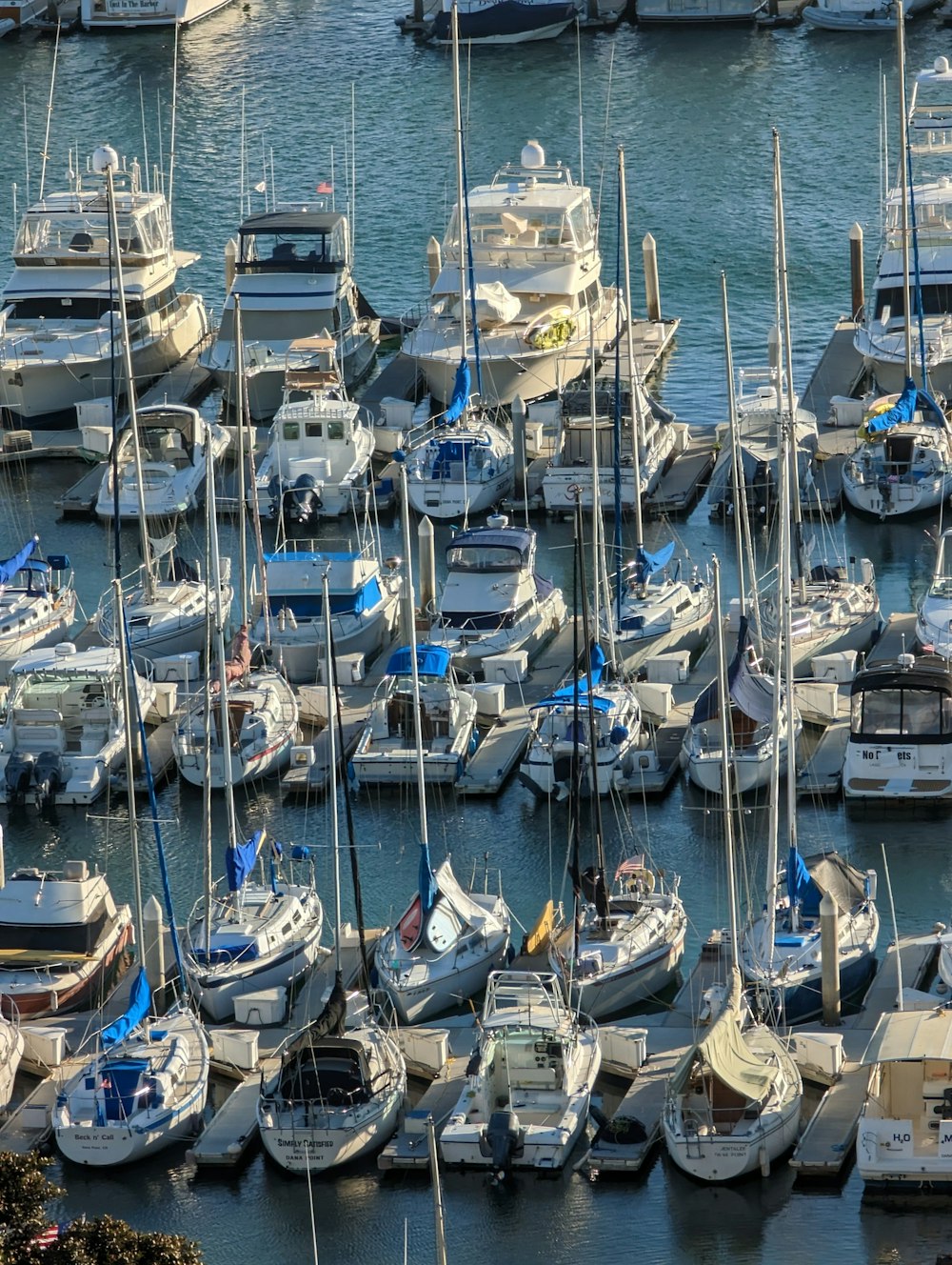 a harbor full of boats