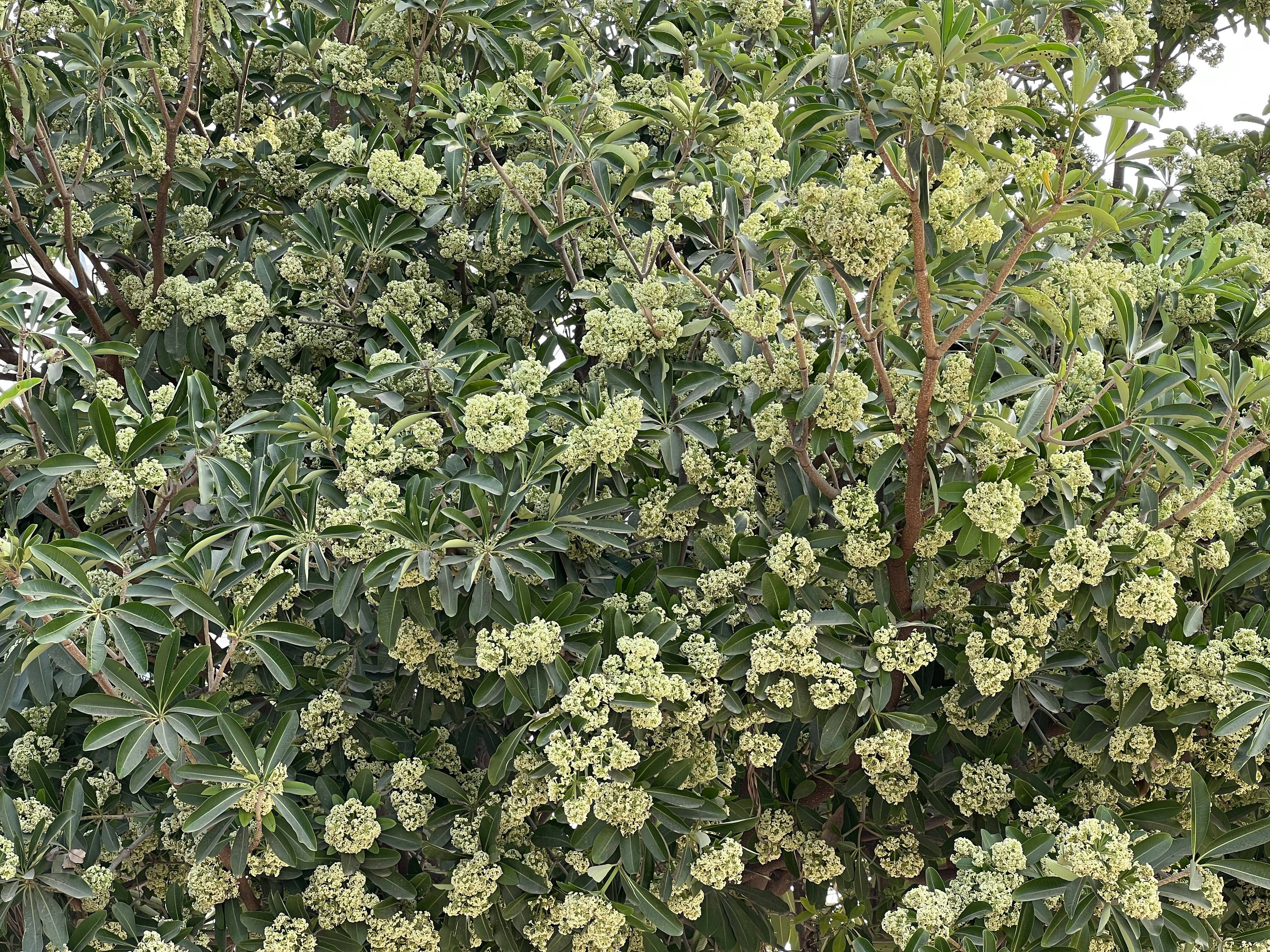 Photo by hrpretsingh