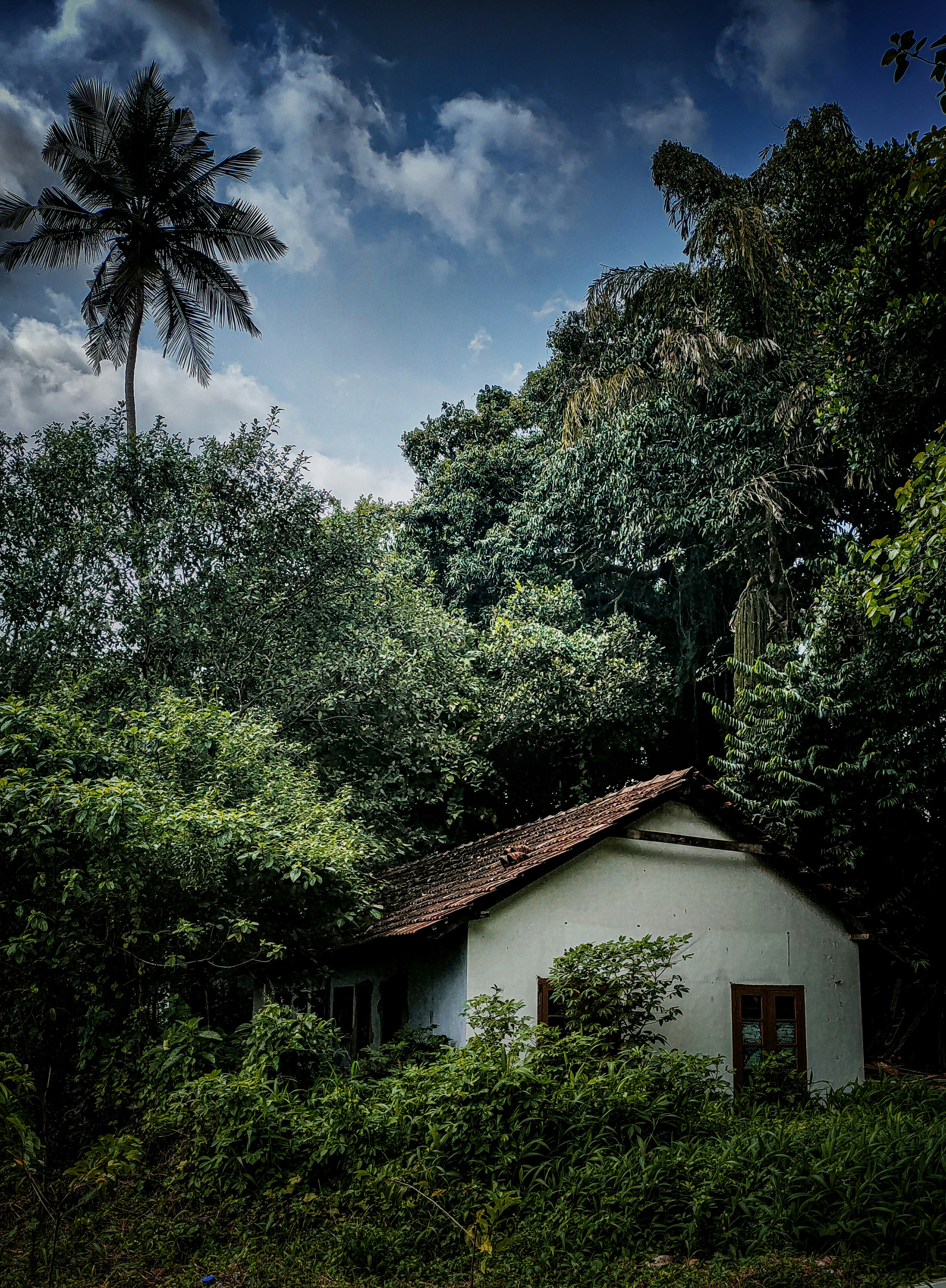 Photo by picxels_art