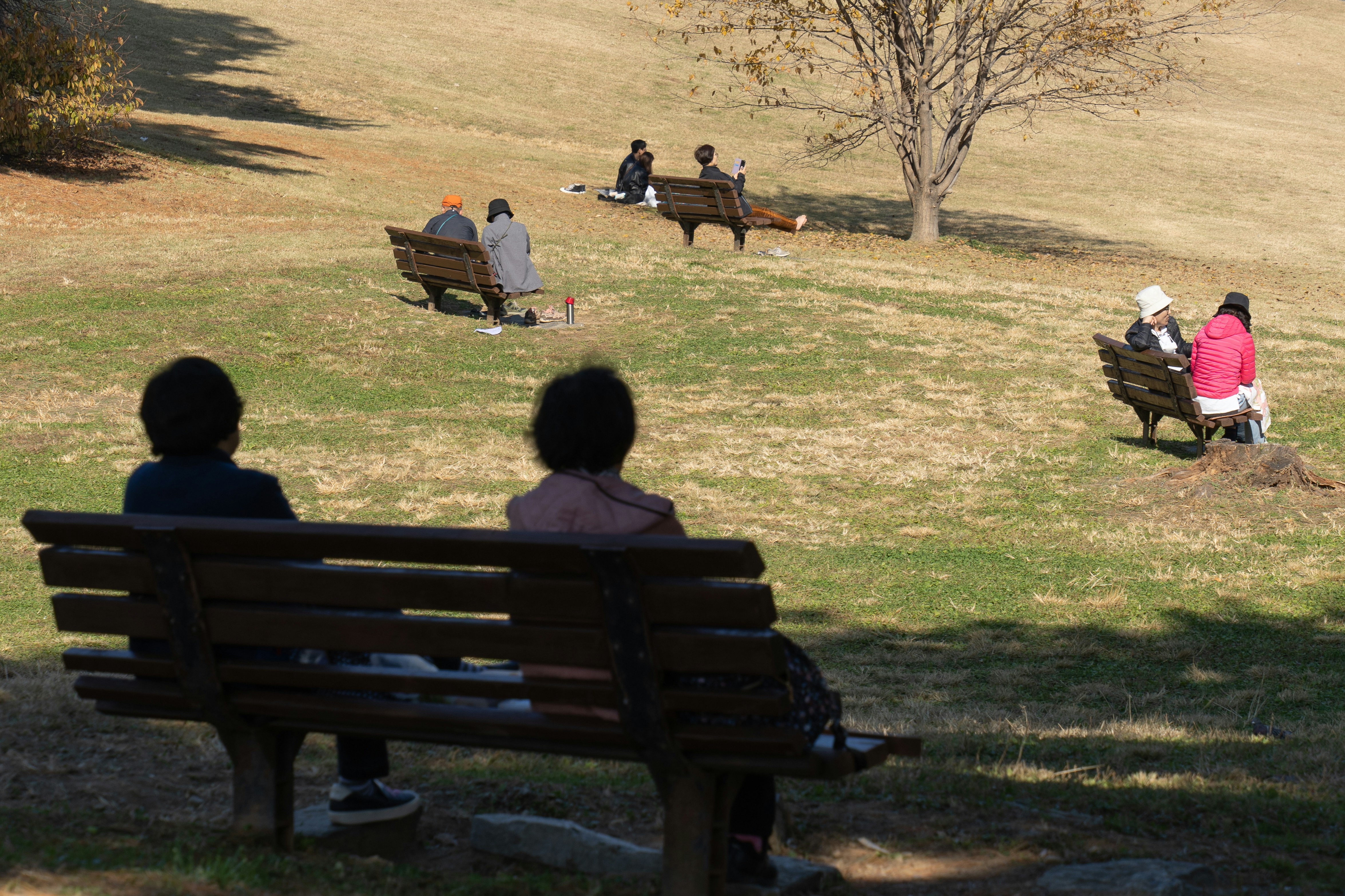Senior Citizens Park