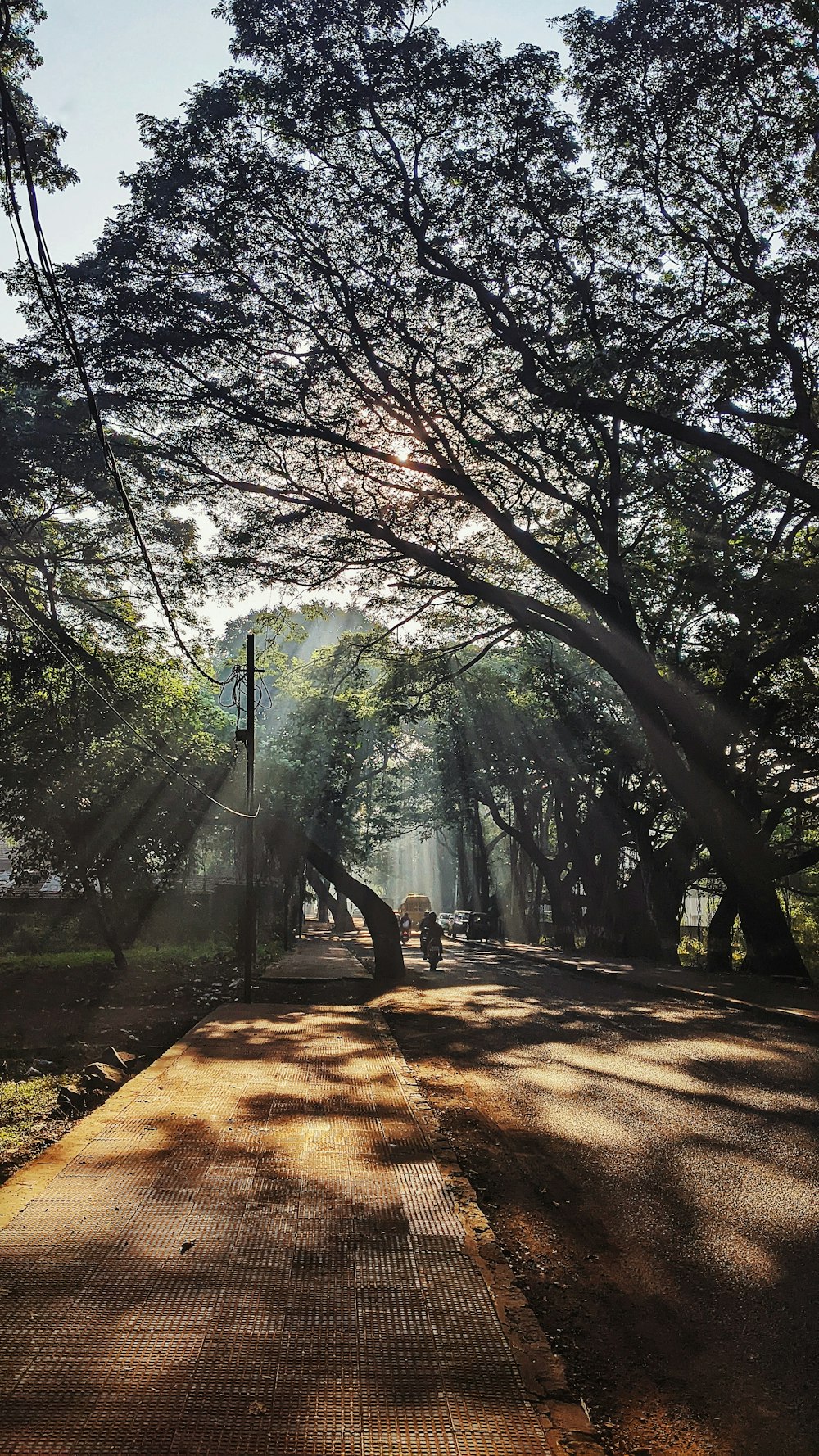 um caminho com árvores ao lado