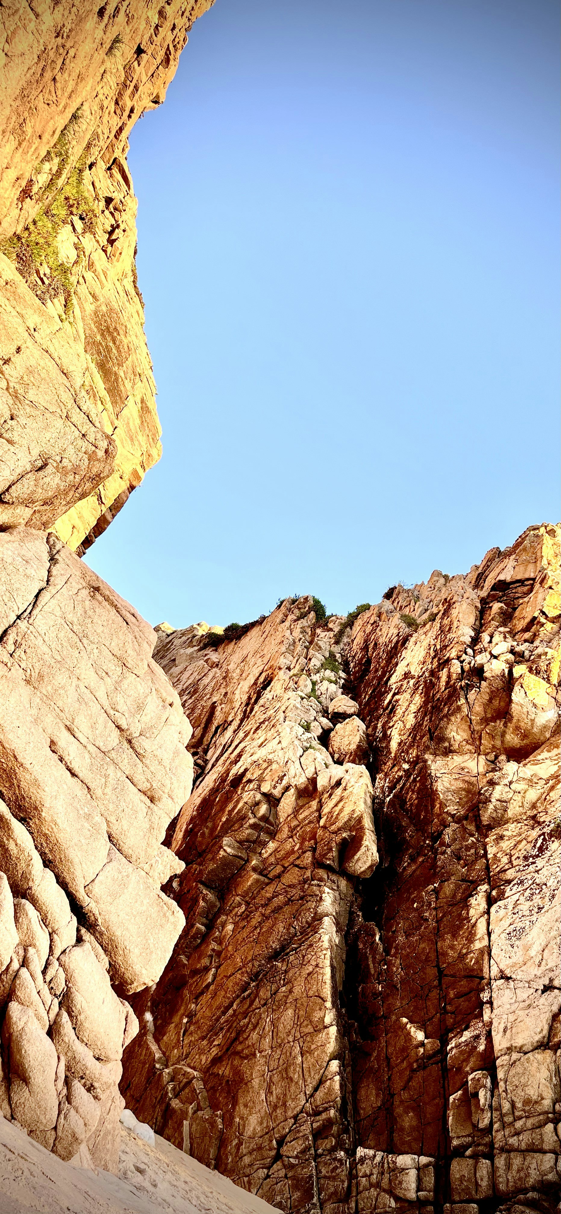 Photo by hesamsameni