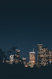 a city skyline at night
