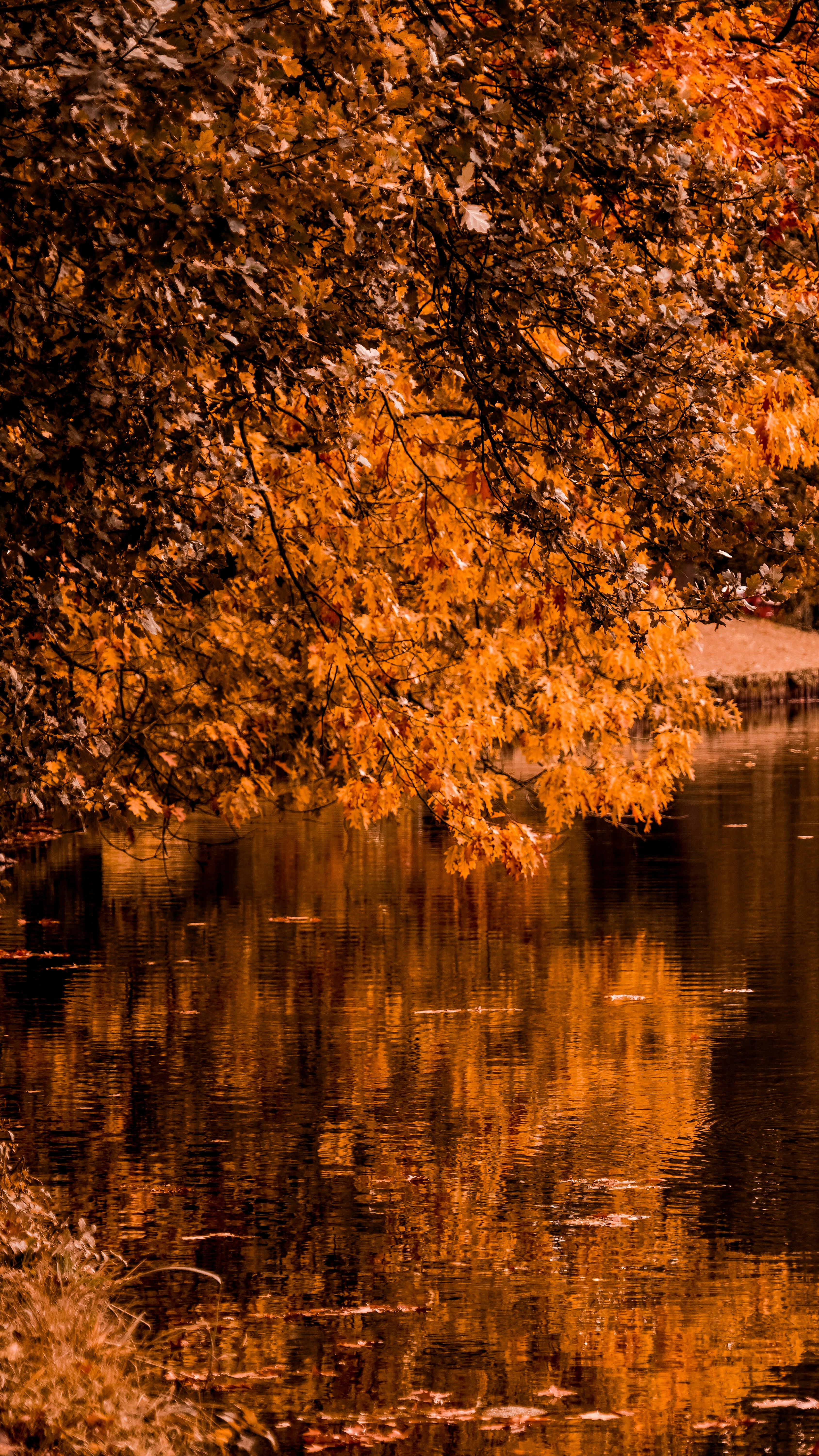 Photo by patrick_kiekebos