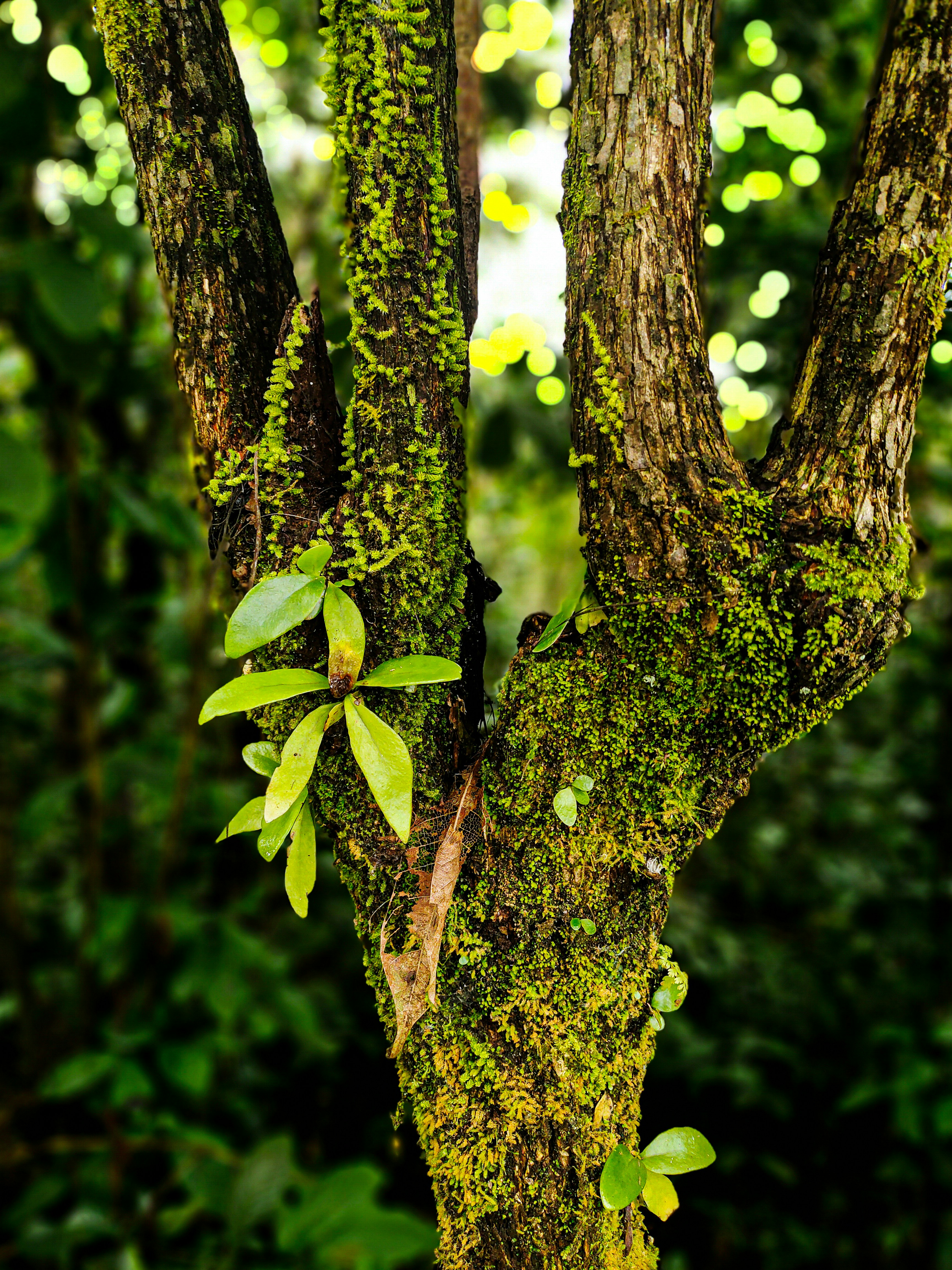 Photo by picxels_art