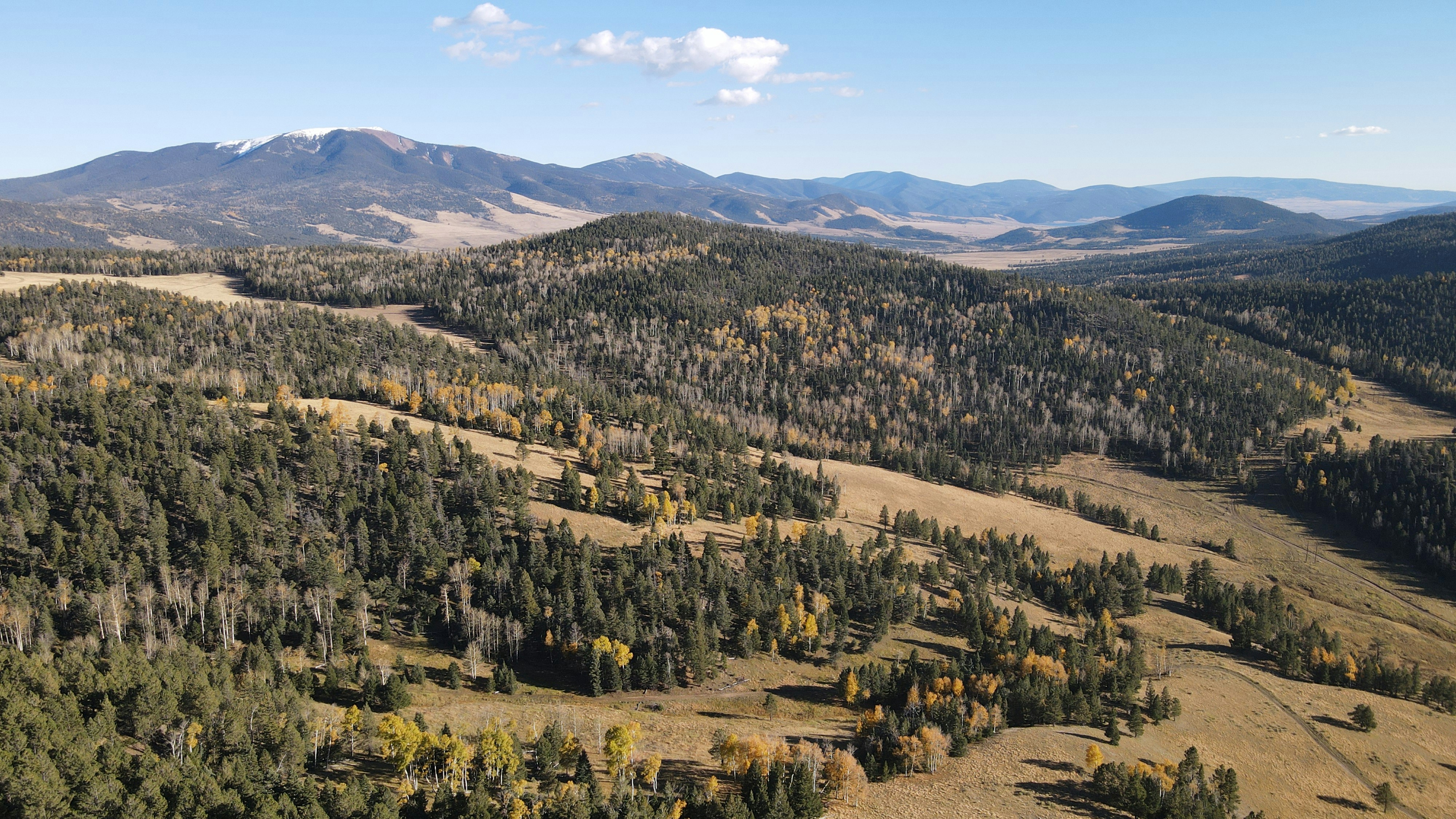 a landscape with trees and mountains in the background
