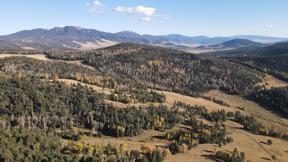 a landscape with trees and mountains in the background