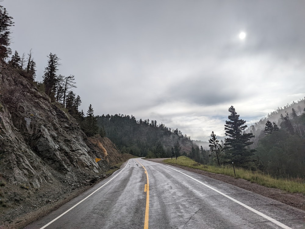 a road with trees on the side